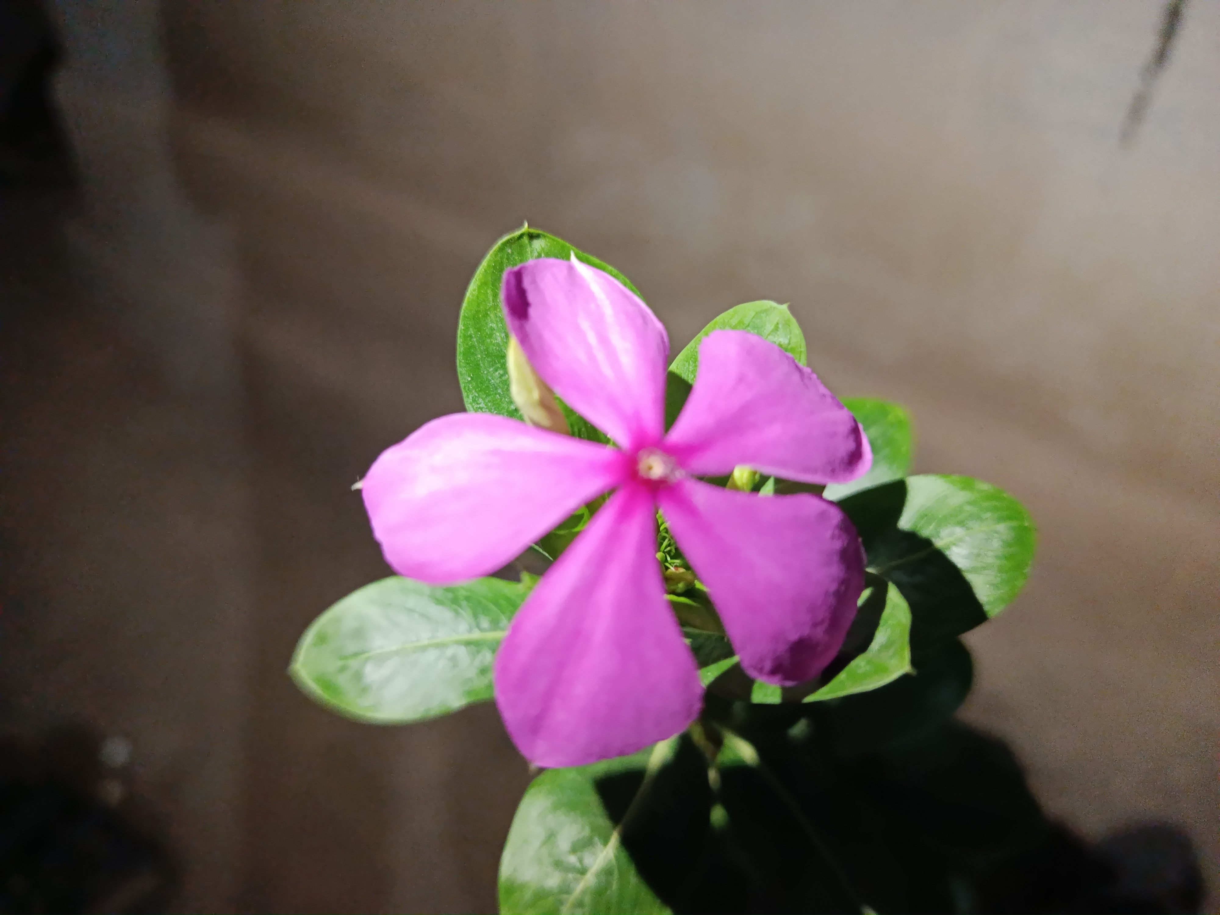 IMG_20250629_211240.jpg