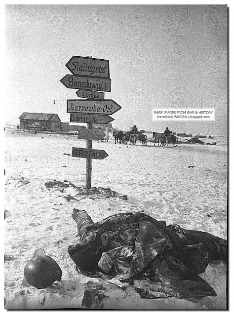 february-1943-dead-german-soldier-at-intersection-road-to-stalingrad.jpg