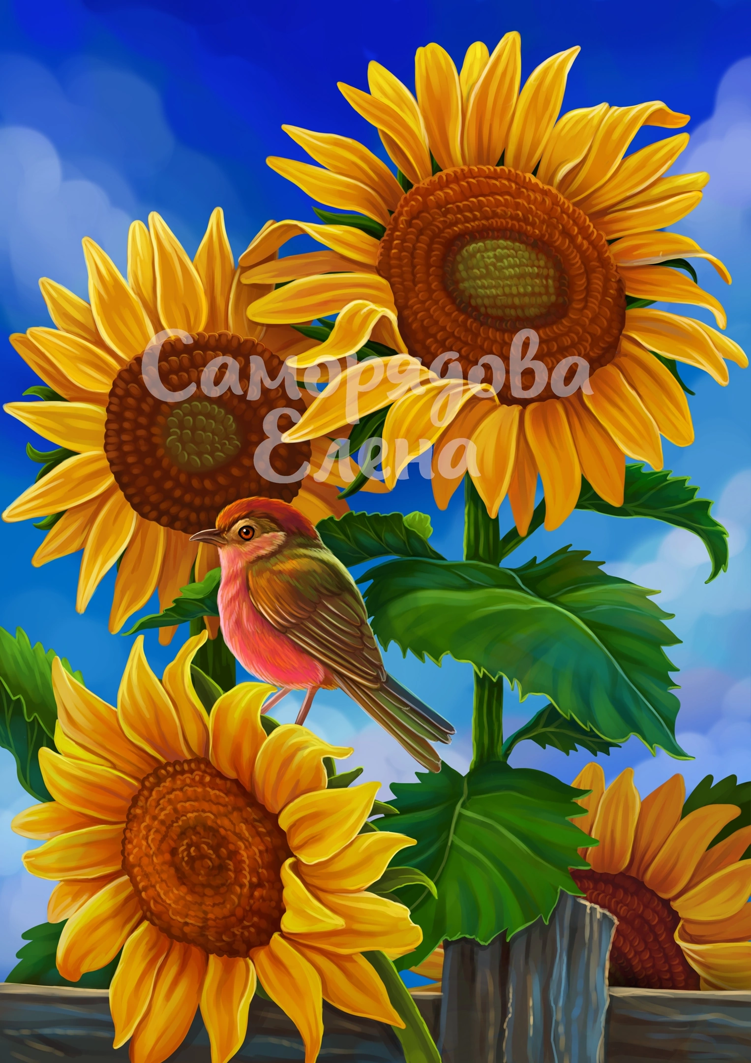 D93852F5-C528-4104-864B-254DE91B2D65.png