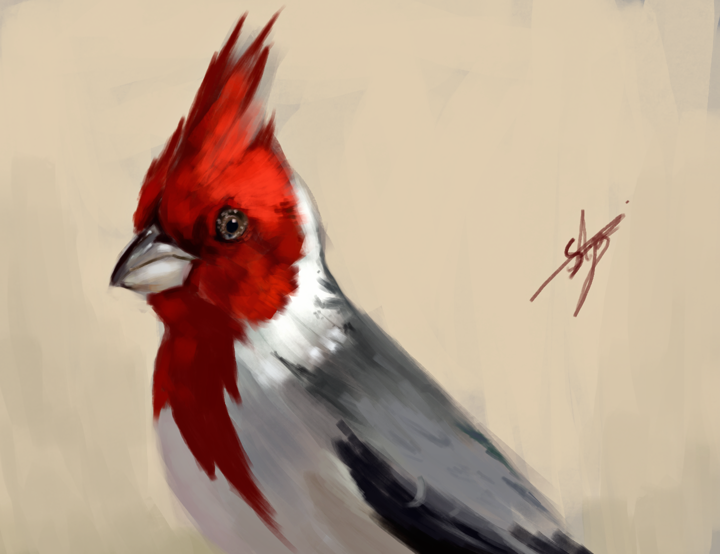 bird.png