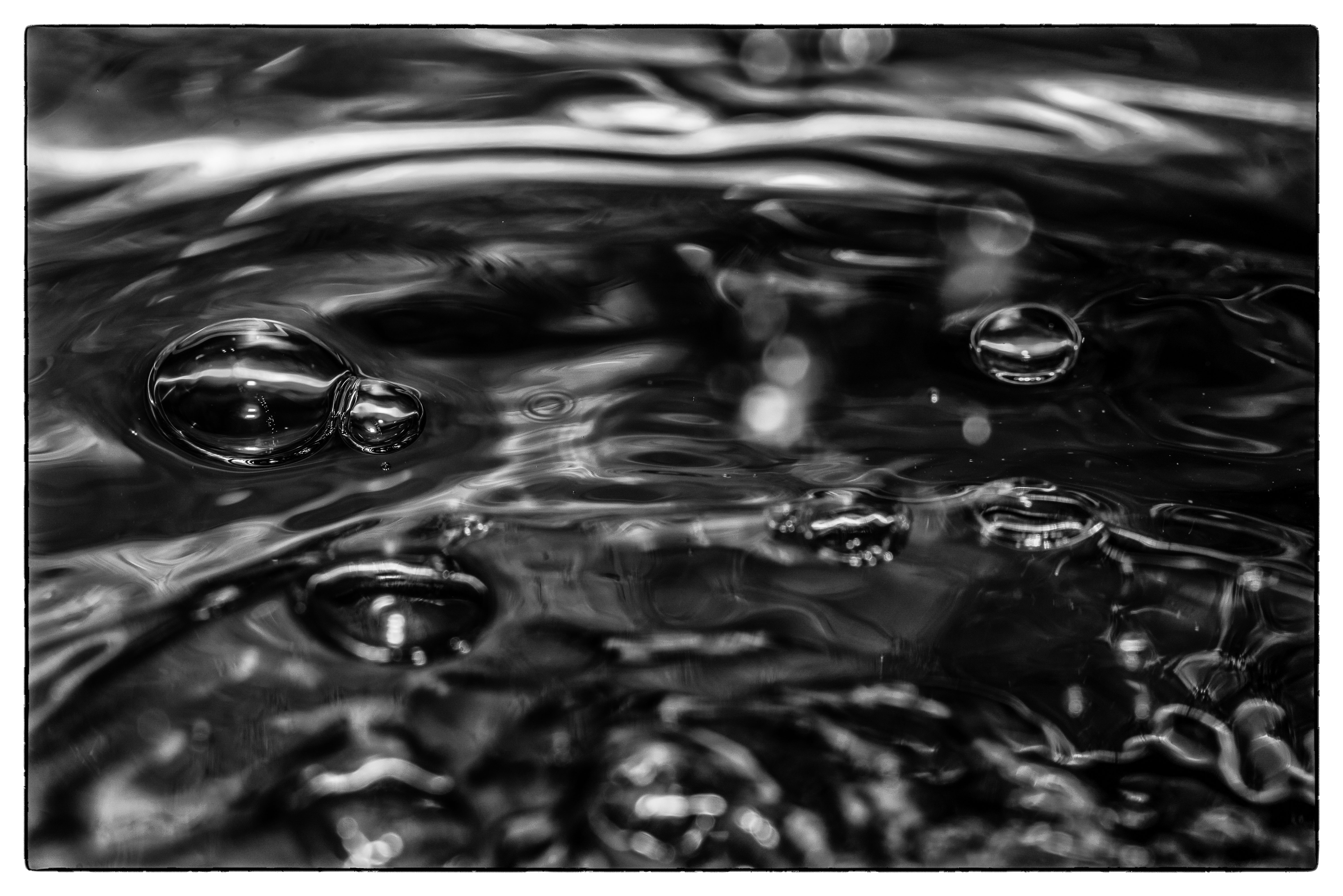DSC_2413-Edit-Edit.jpg