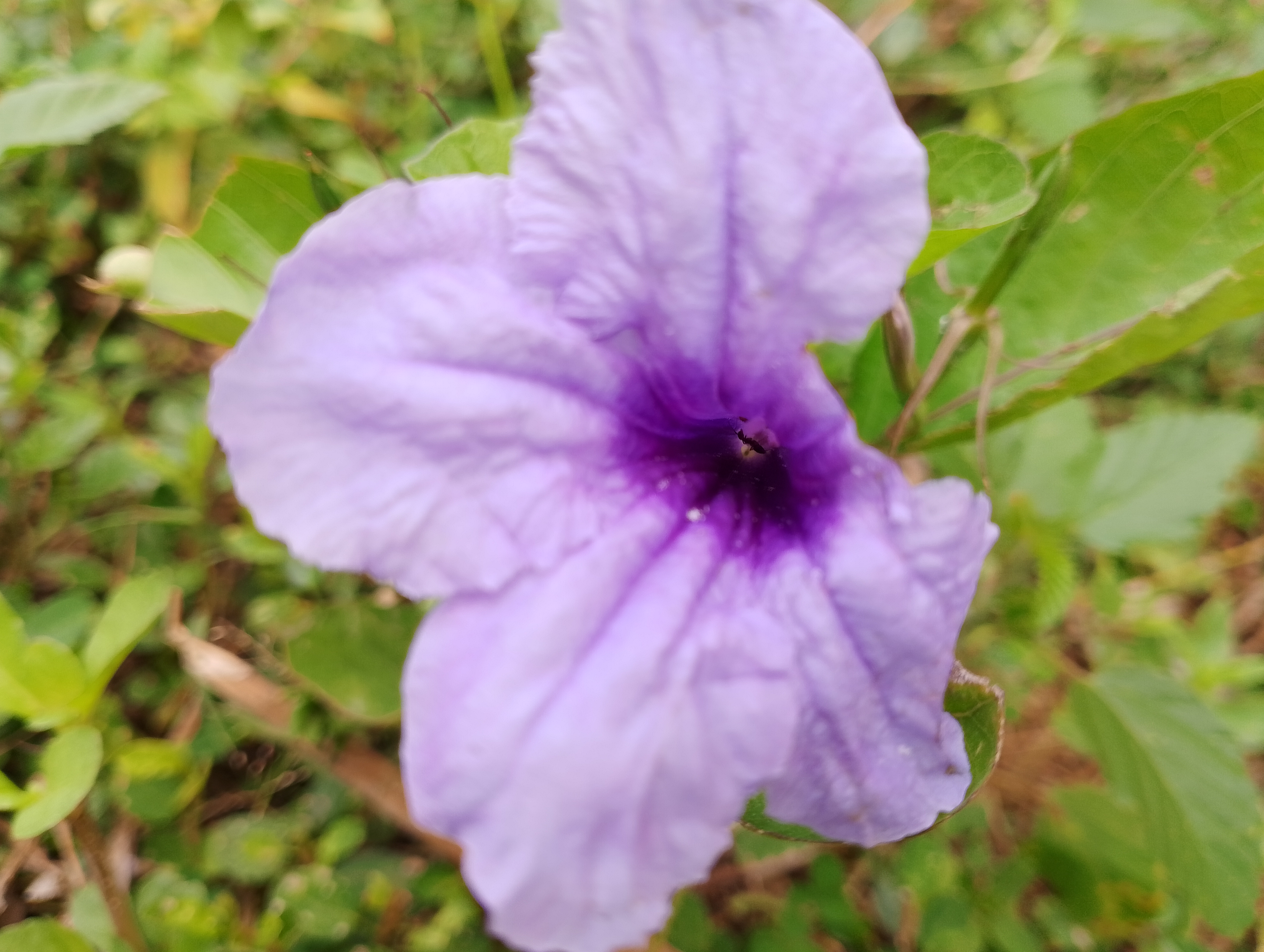 IMG_20250509_110024.jpg