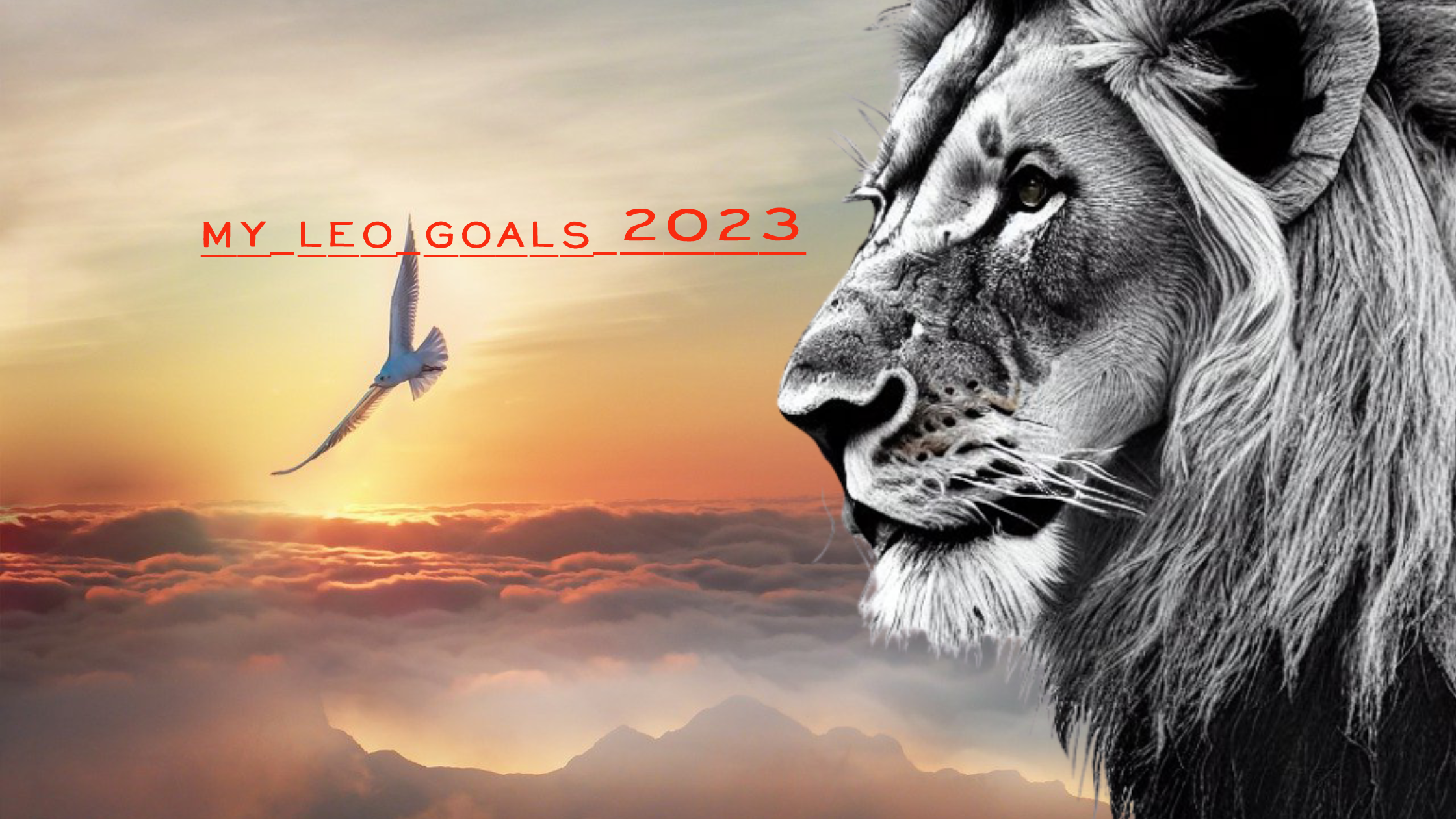 @brando28/my-leo-goals-for-2023-staying-focused