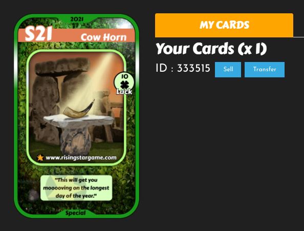 COW HORN.JPG