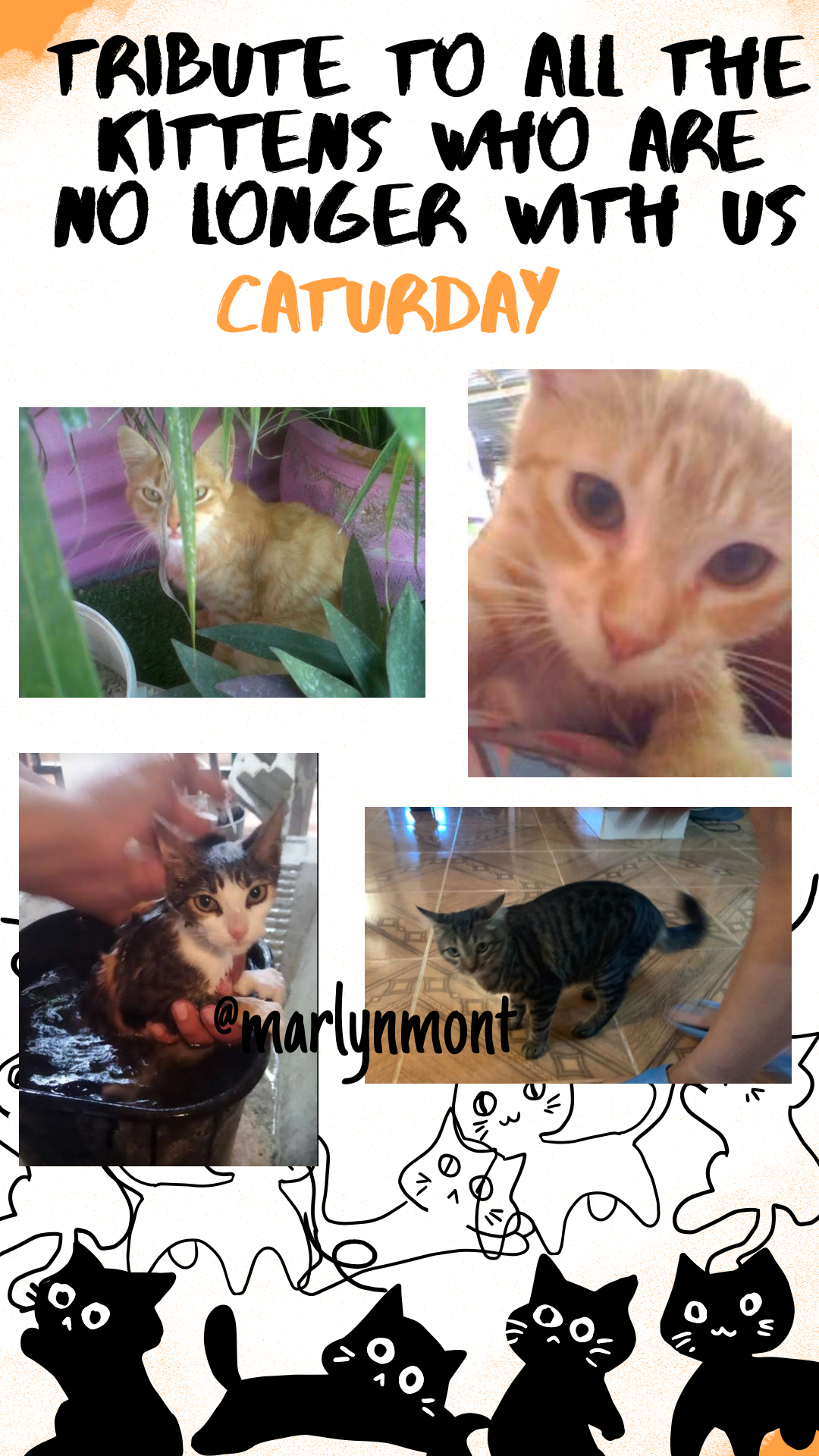 Orange White Illustrated Happy Halloween Cats Your Story.png