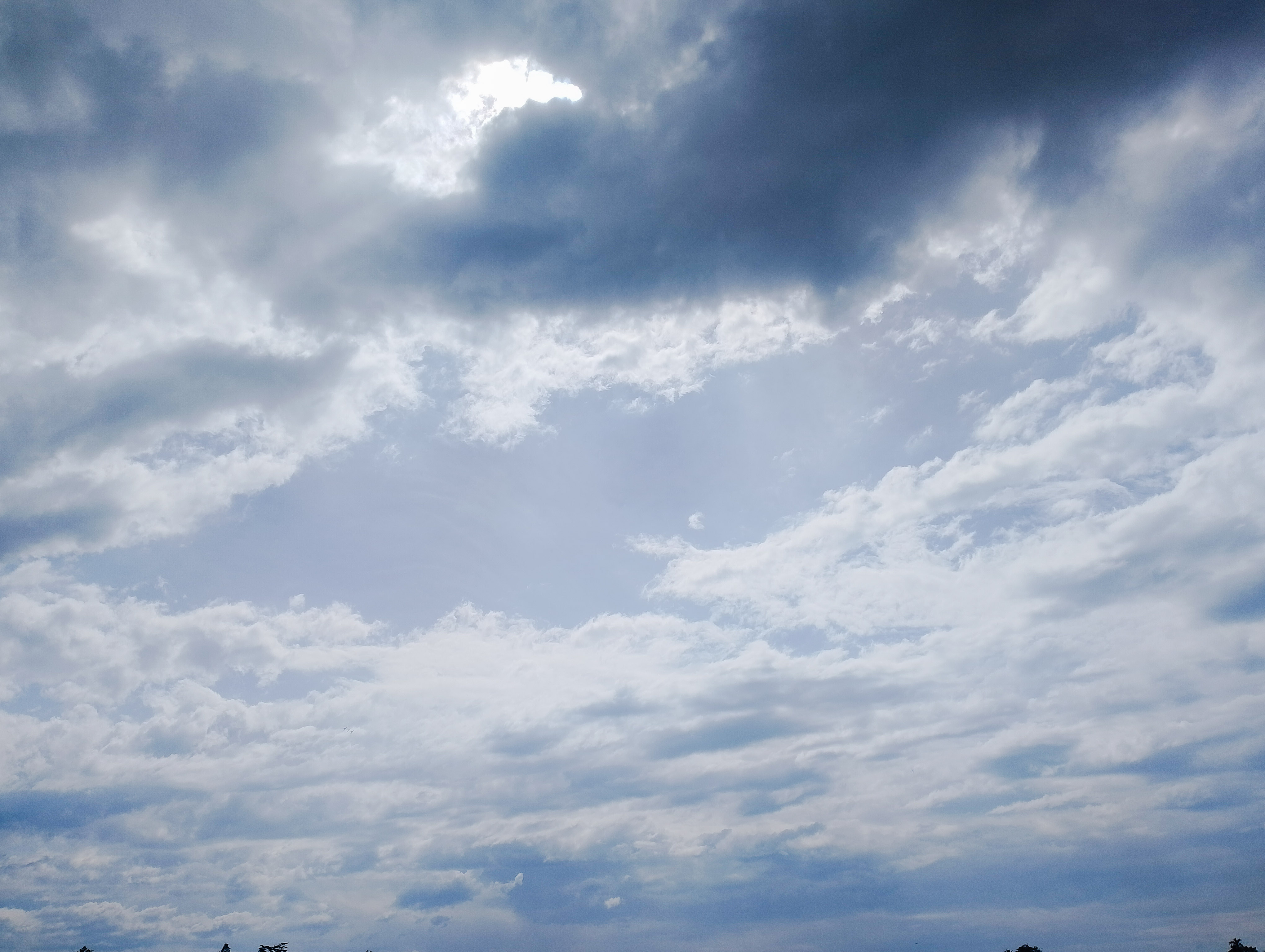 PSX_20250723_153258.jpg