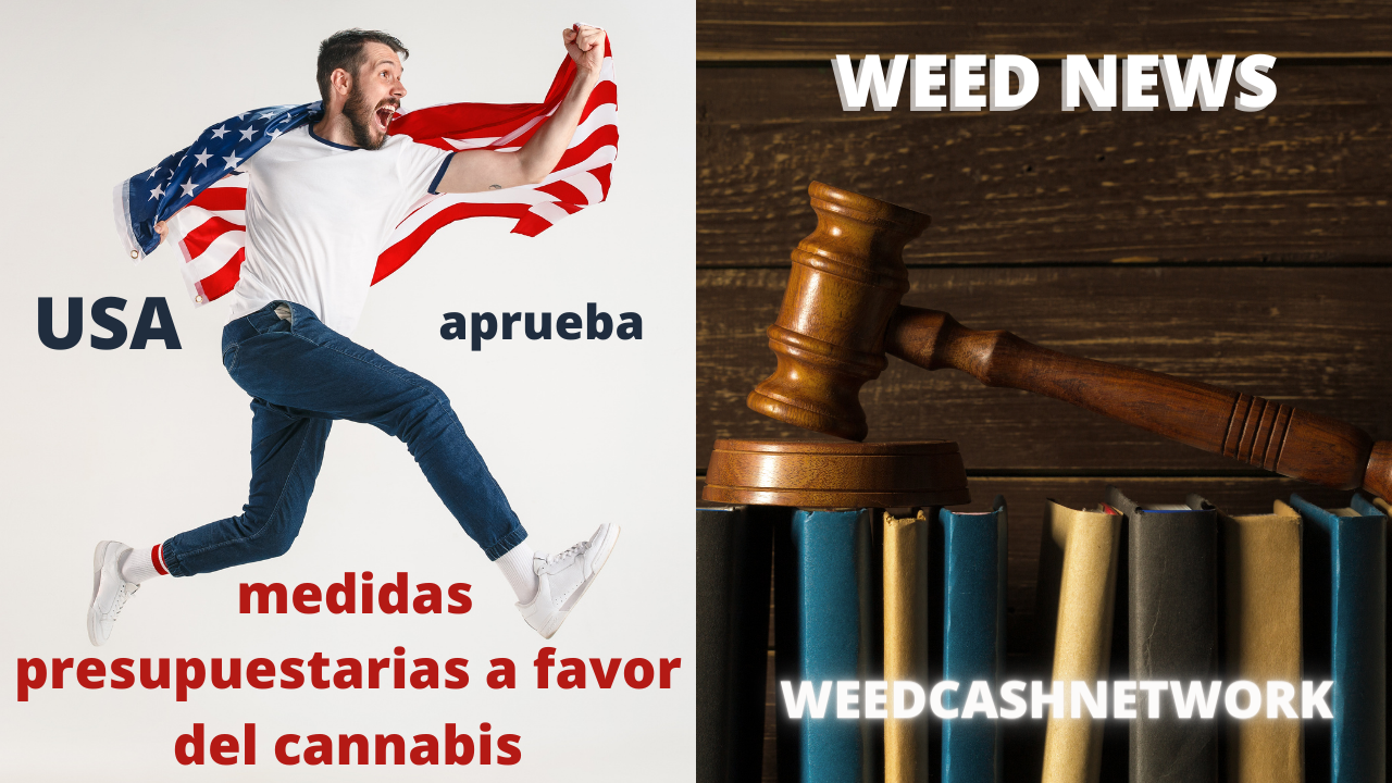 WEED NEWS (1).png