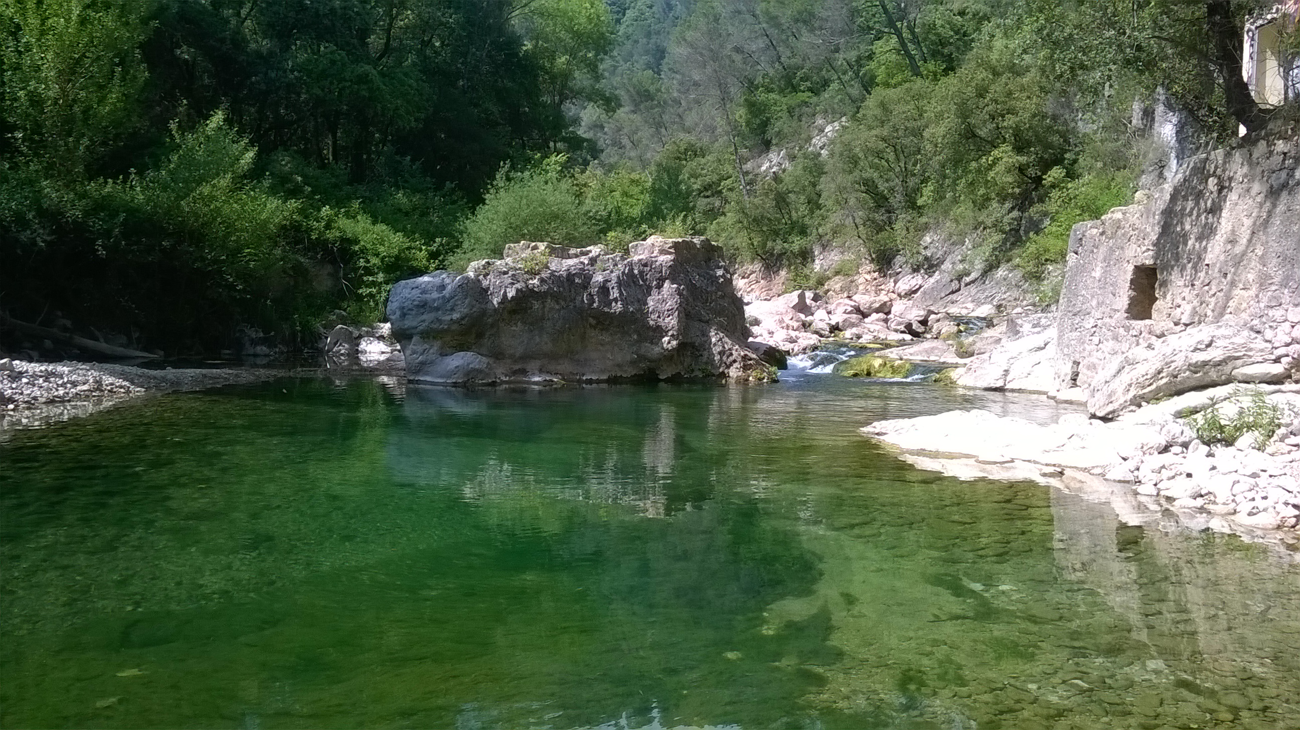 Lac Draguignan.jpg