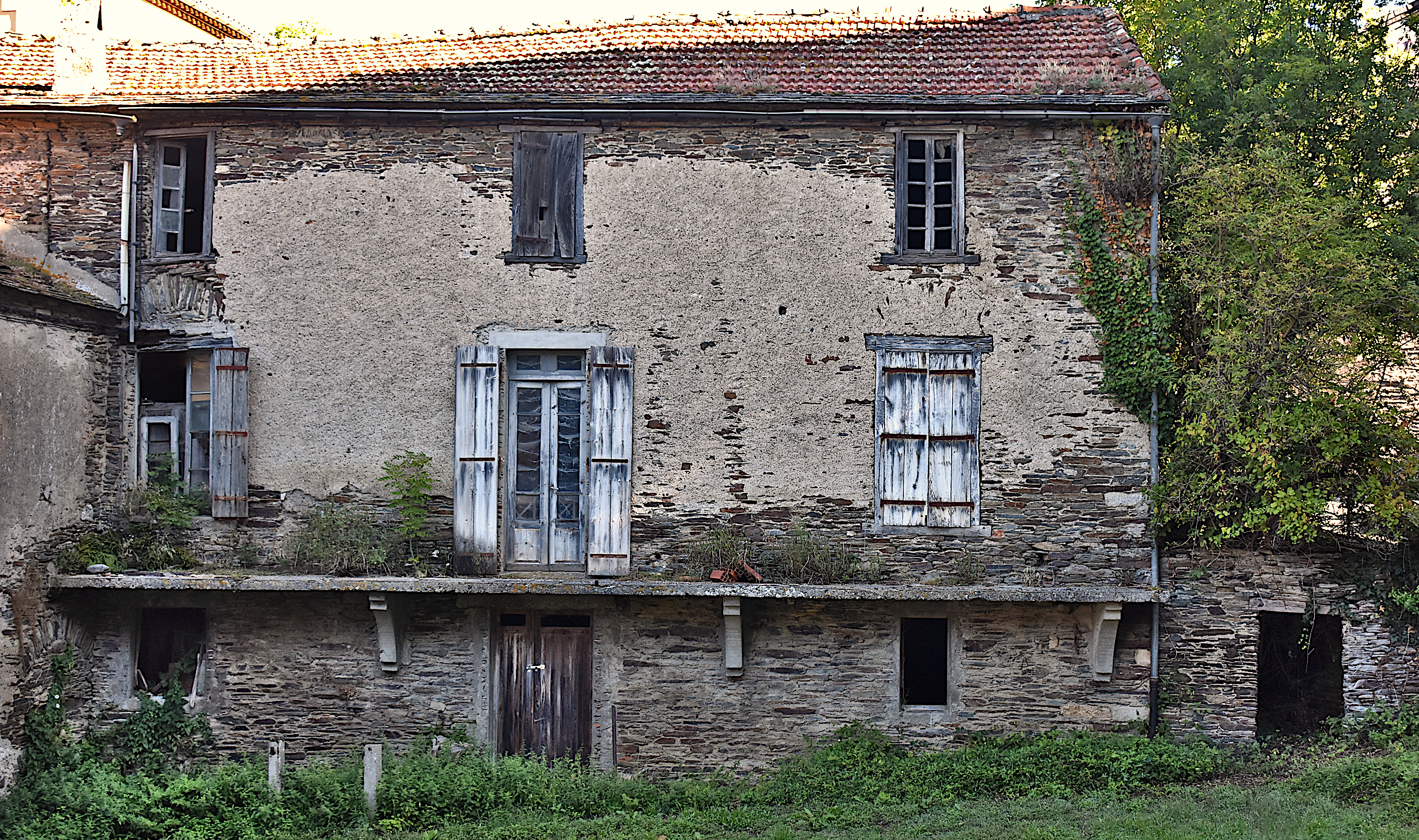 DSC_0225.JPG