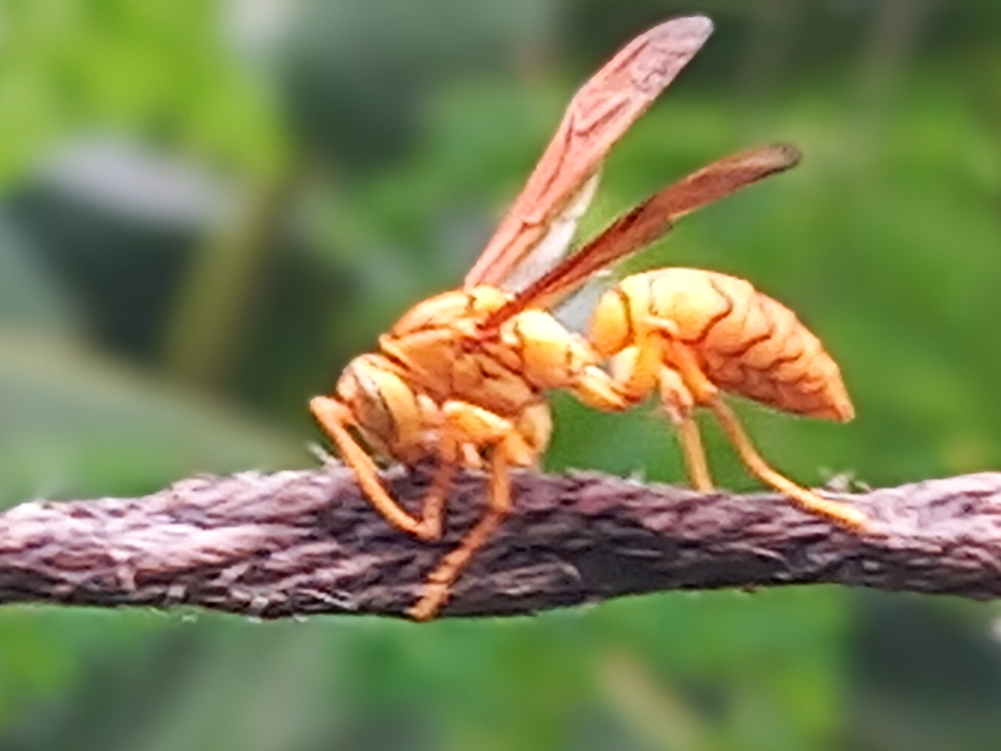 20250722_141106~2.jpg