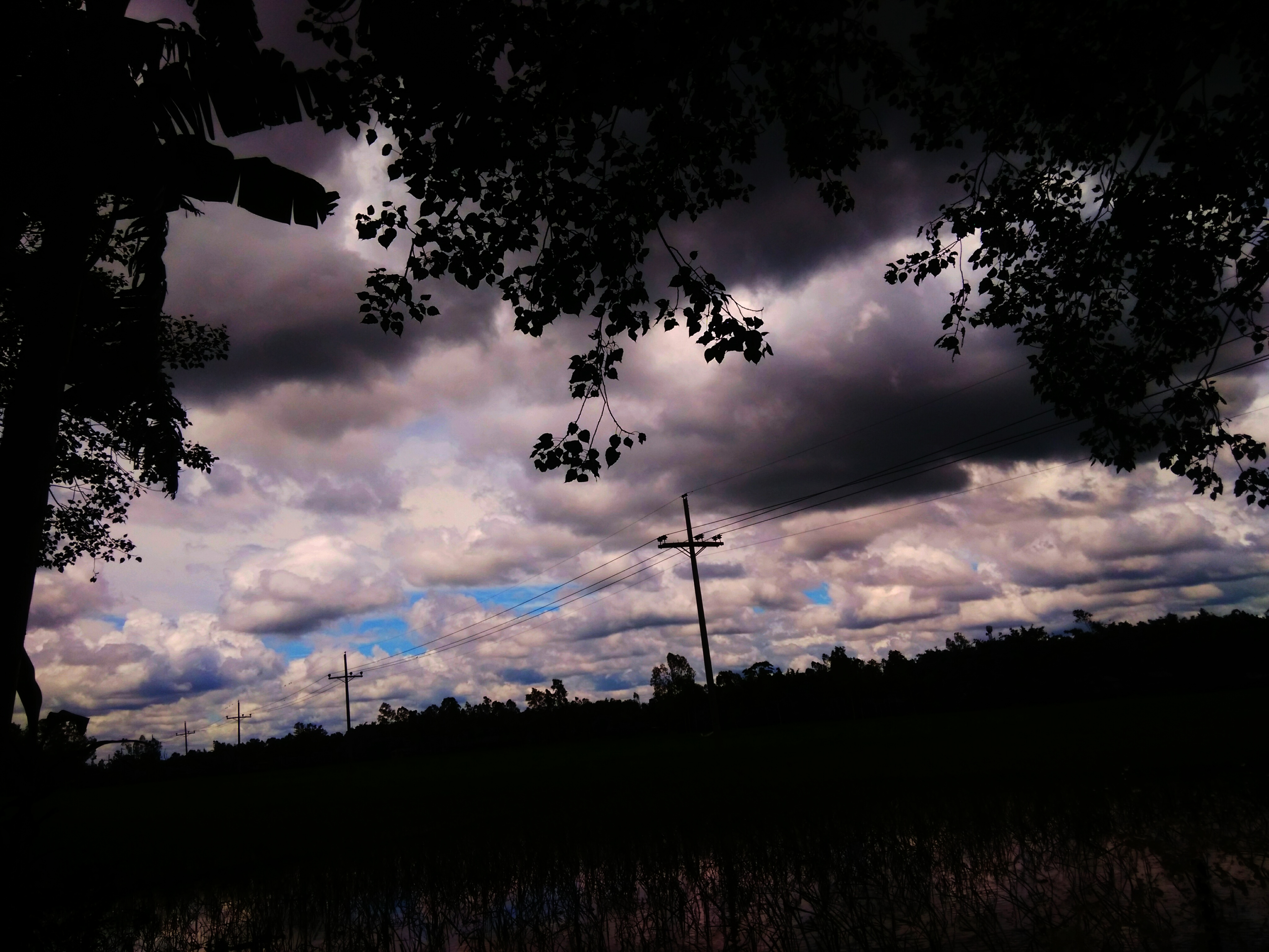 IMG_20200815_231636.jpg