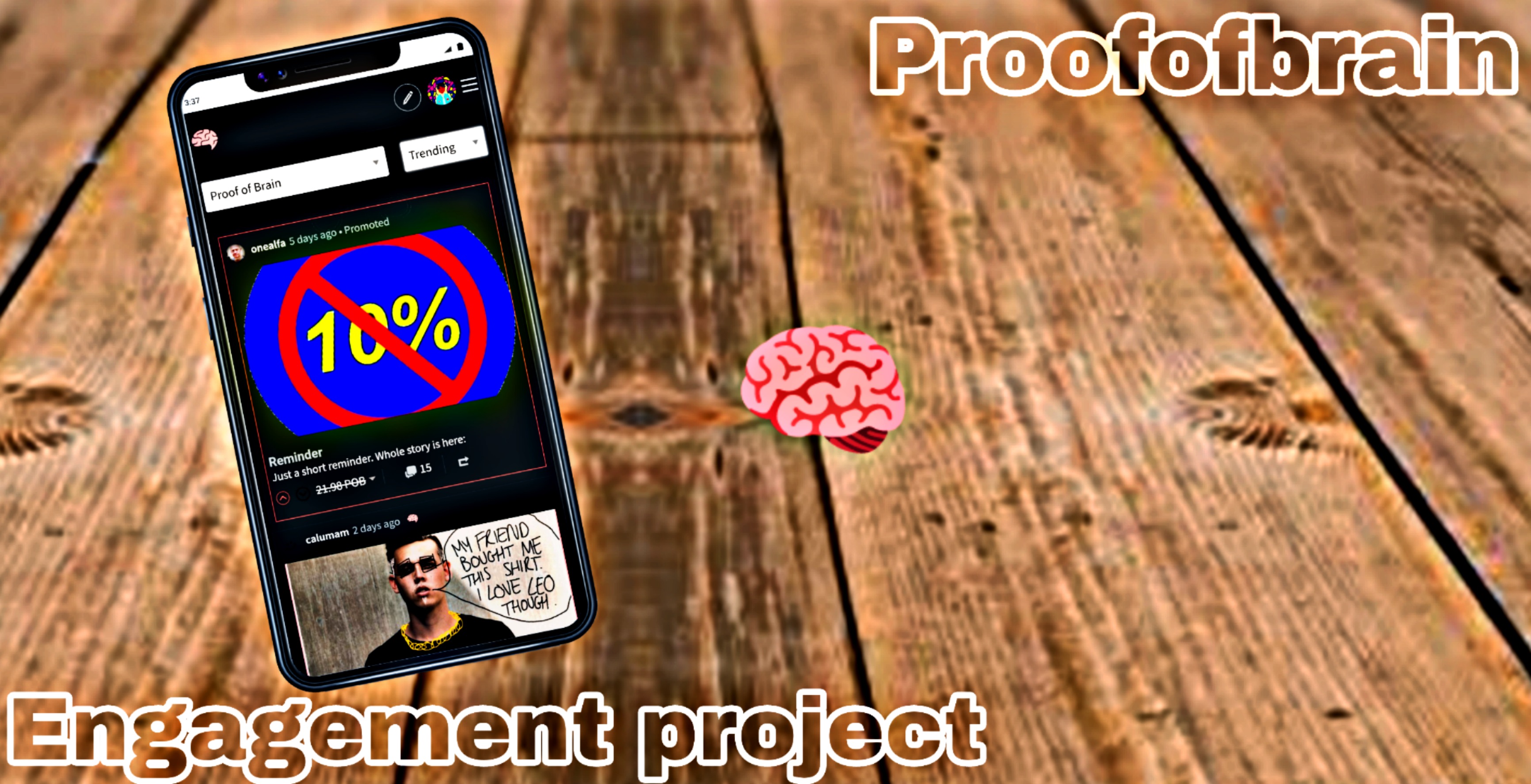engagement project.jpg