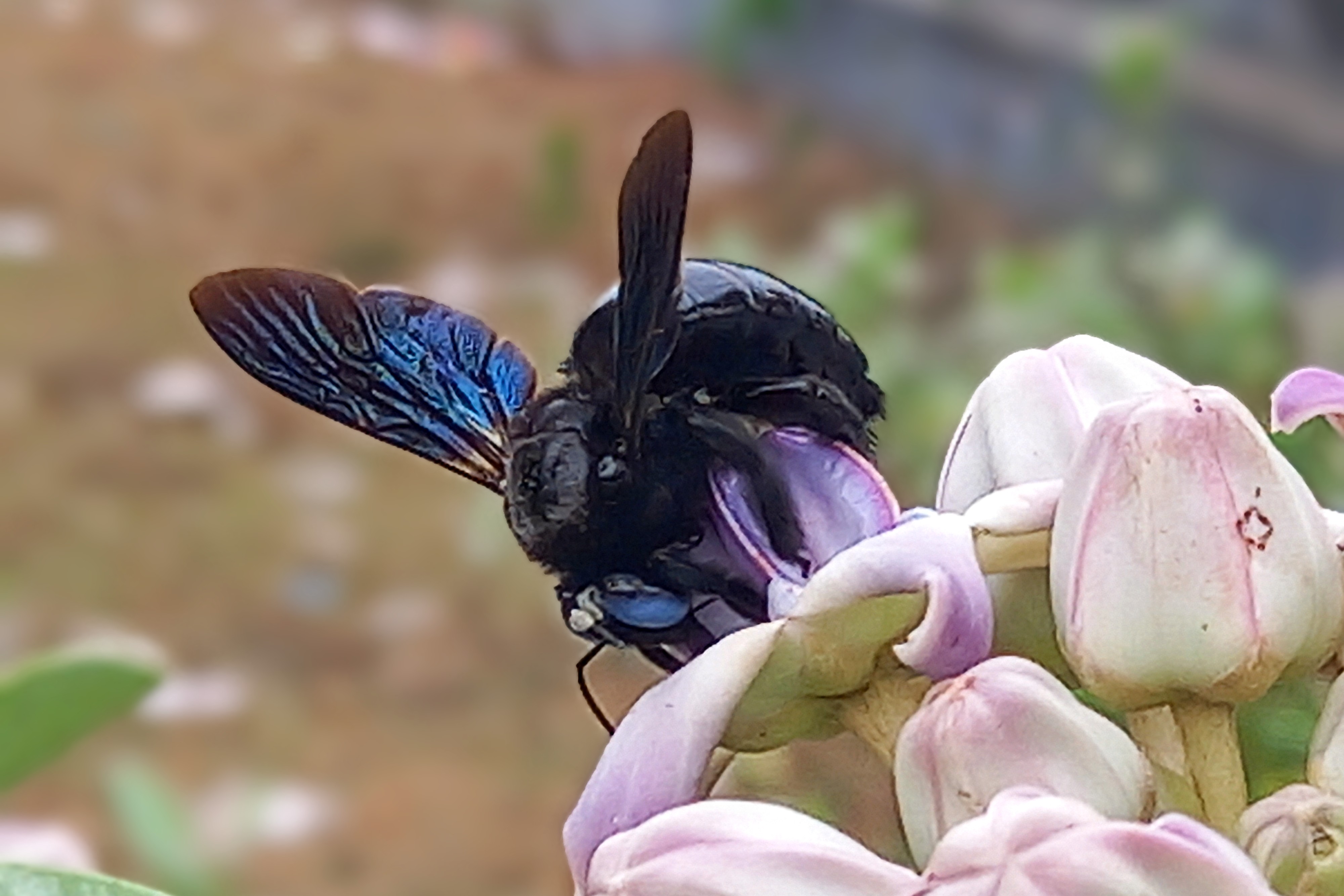 20250415_123701~2.jpg