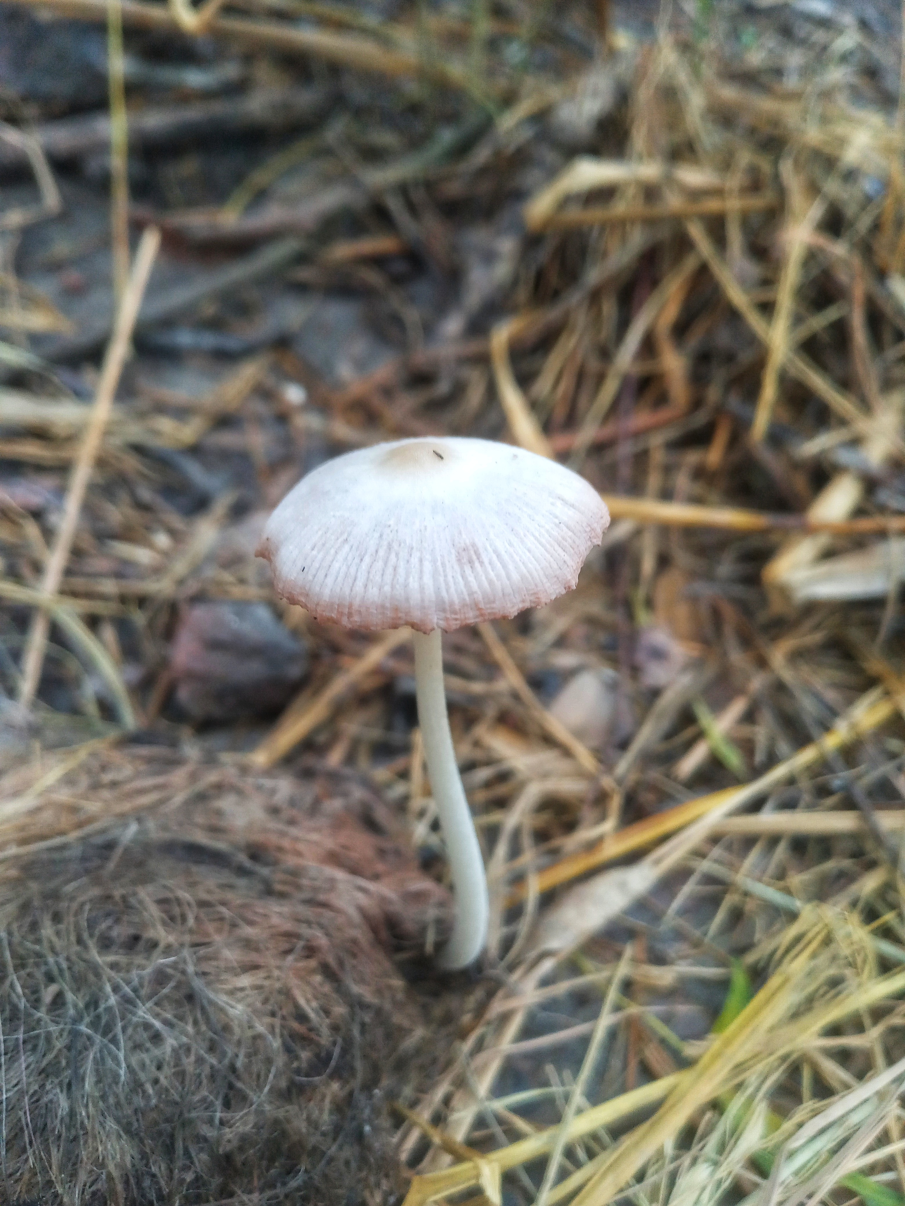 20220915_140850-01.jpeg