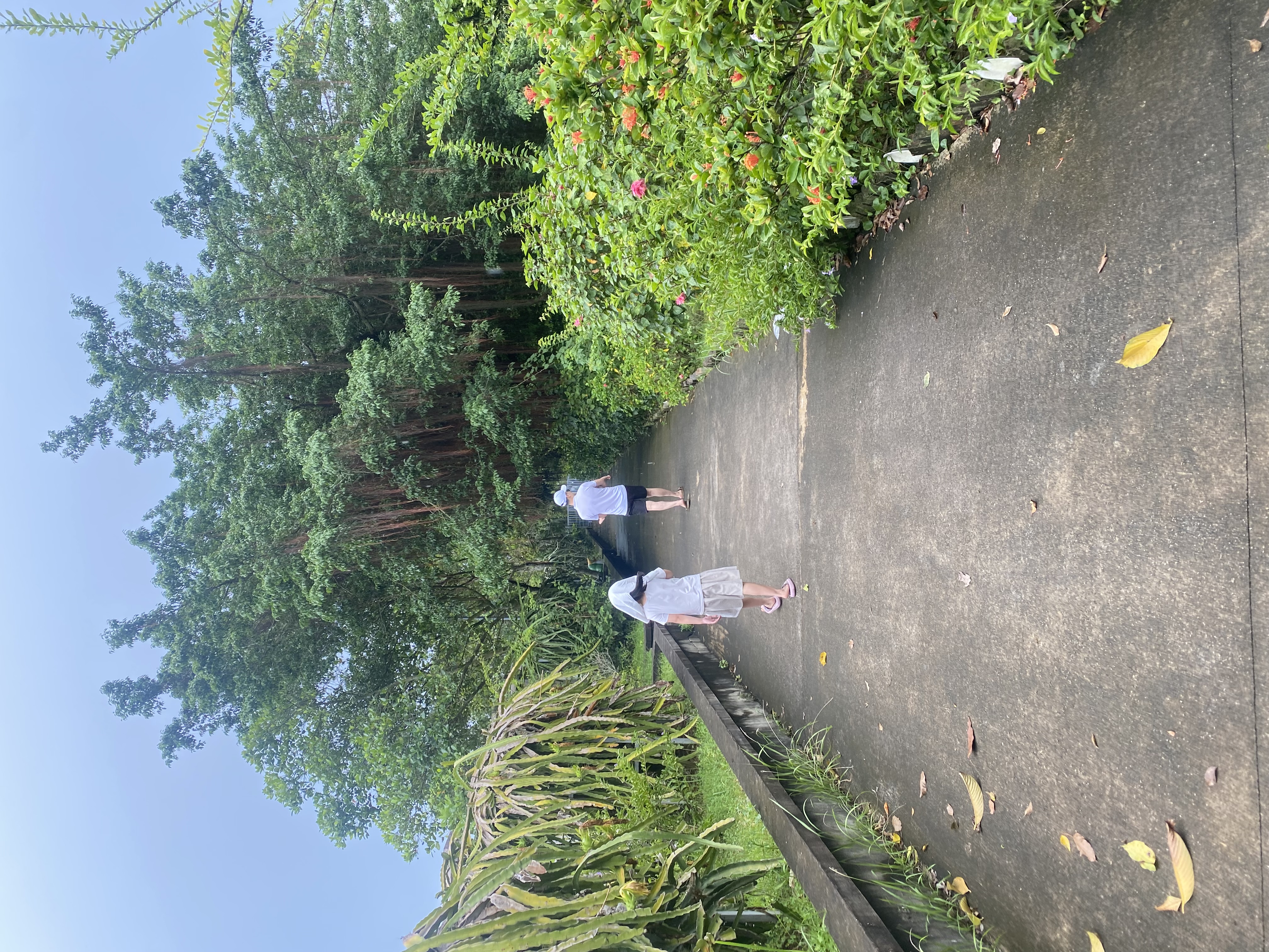 IMG_8429.jpeg