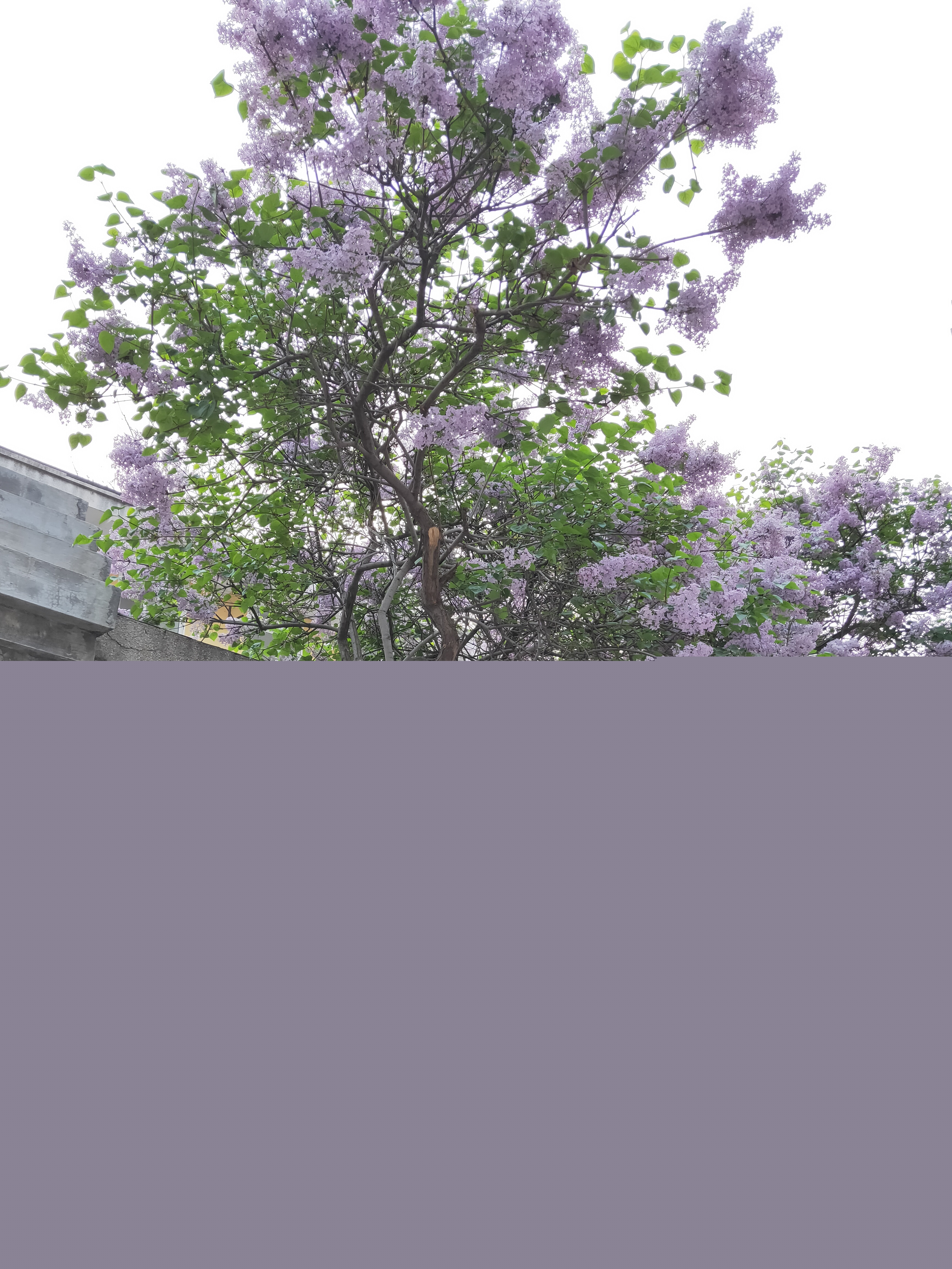 IMG20210424180829.jpg