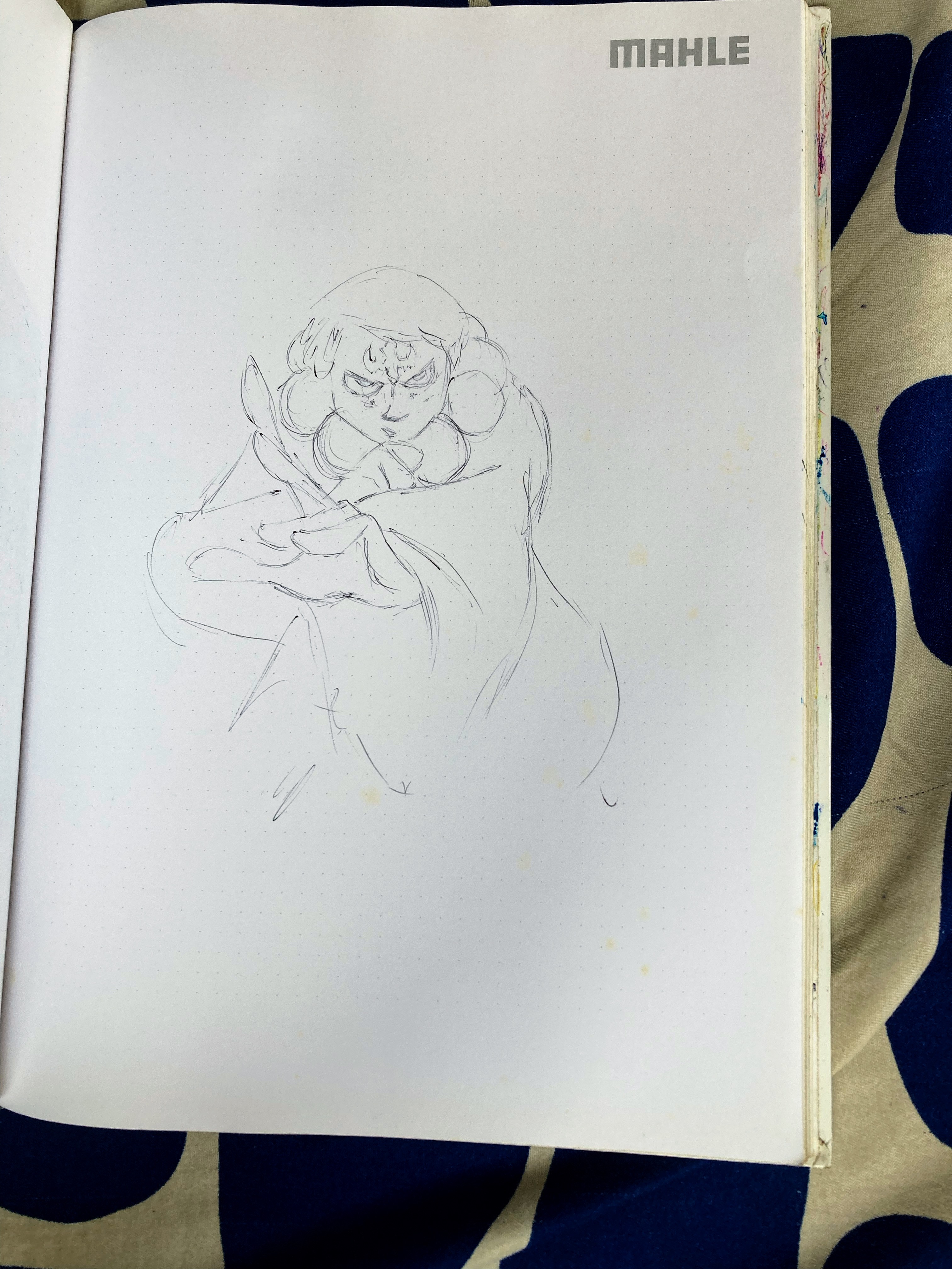 IMG_2722.jpeg