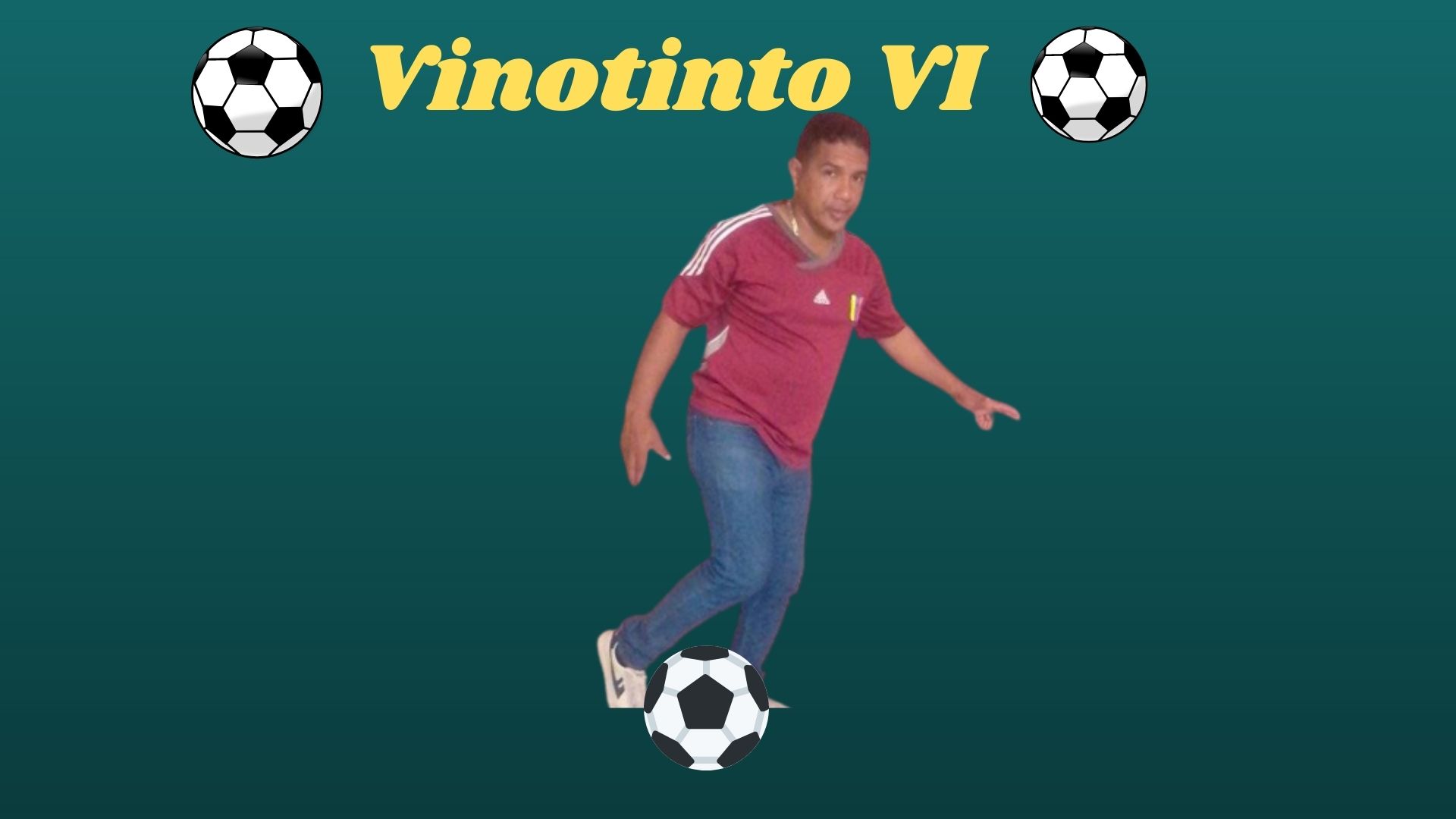 Vinotinto VI.jpg