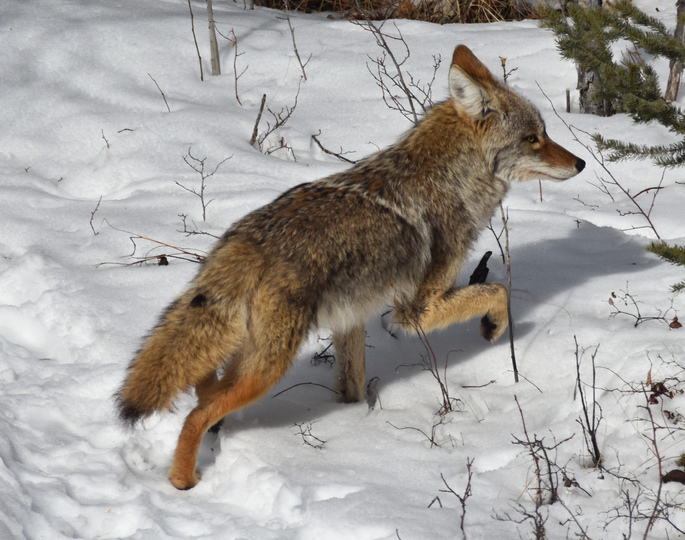 DSC_8177.JPG