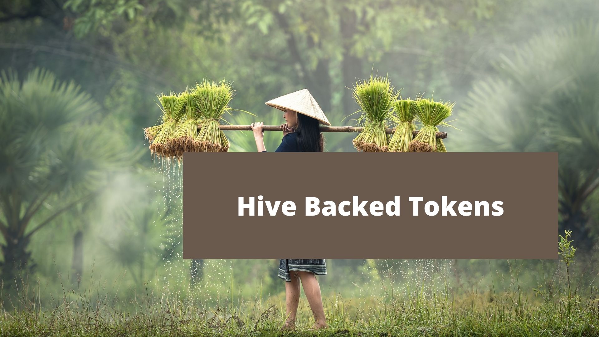 Hive backed tokens.jpg