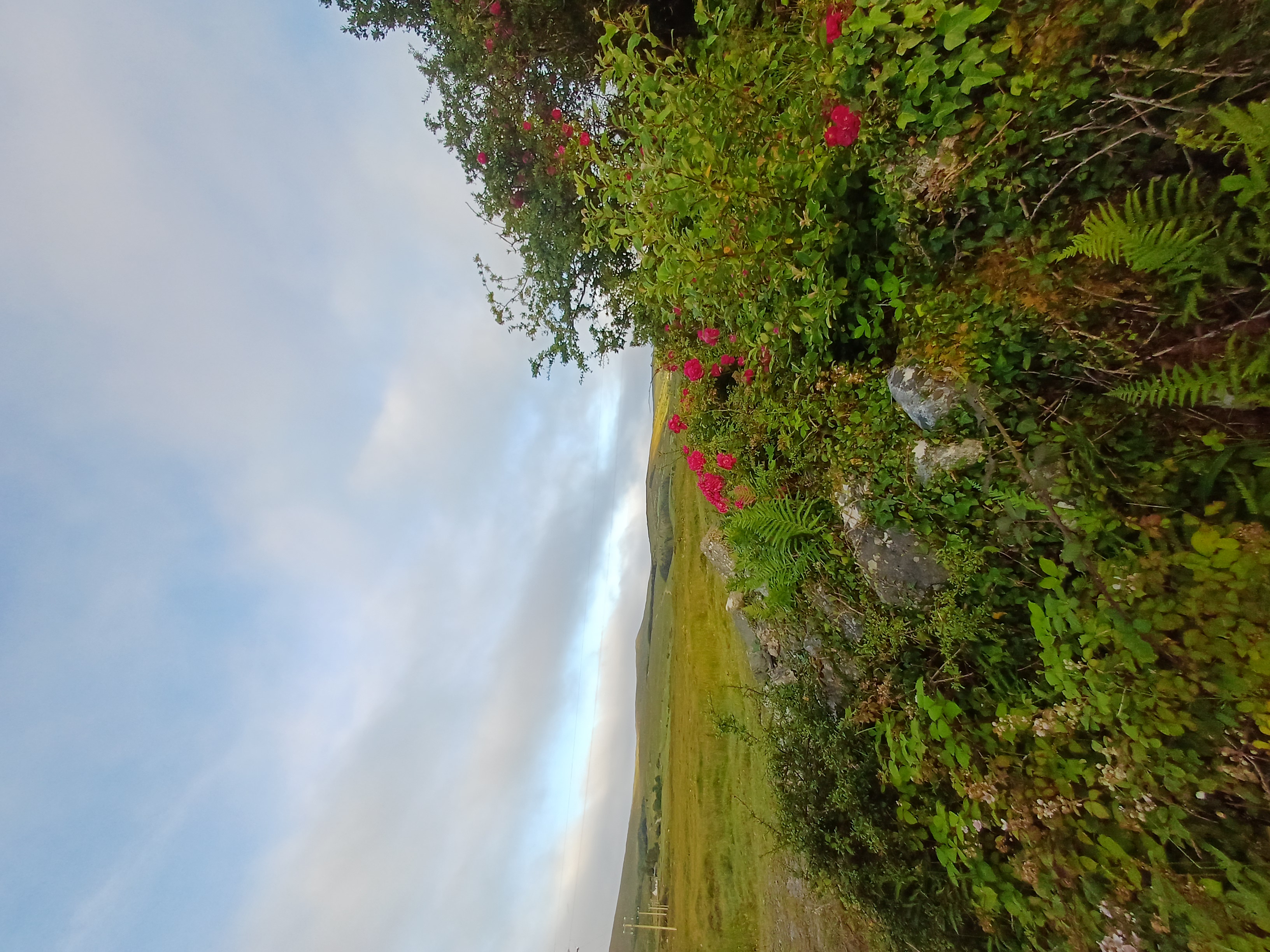 20250709_063444.jpg