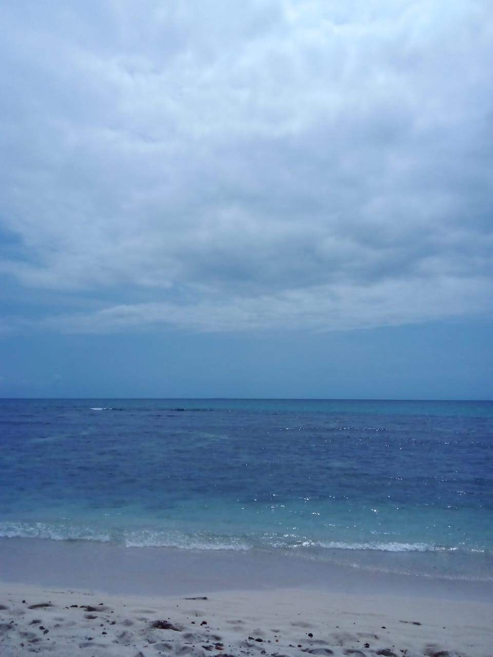 IMG-20250316-WA0005.jpg