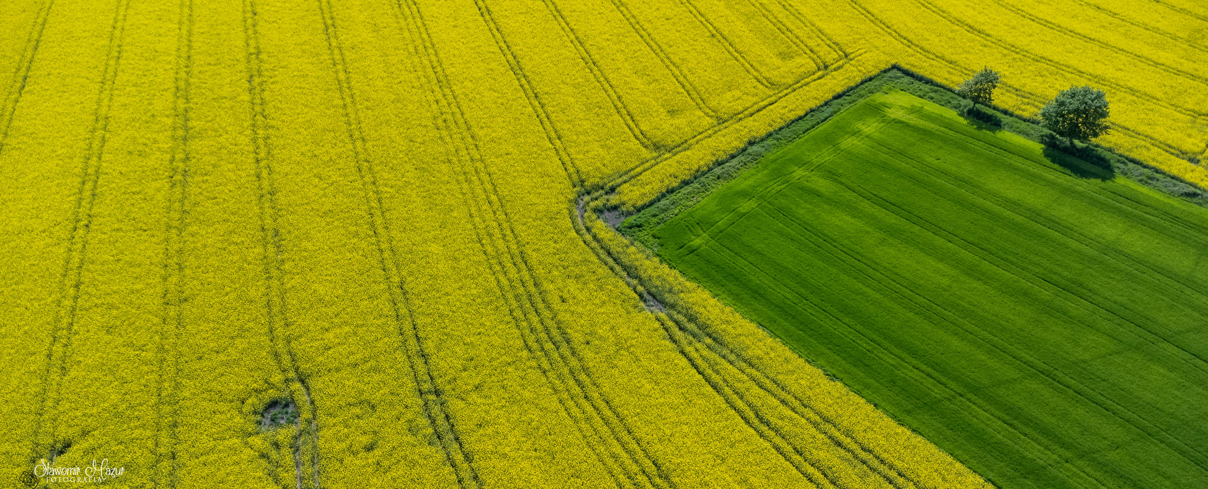 DJI_0531.jpg