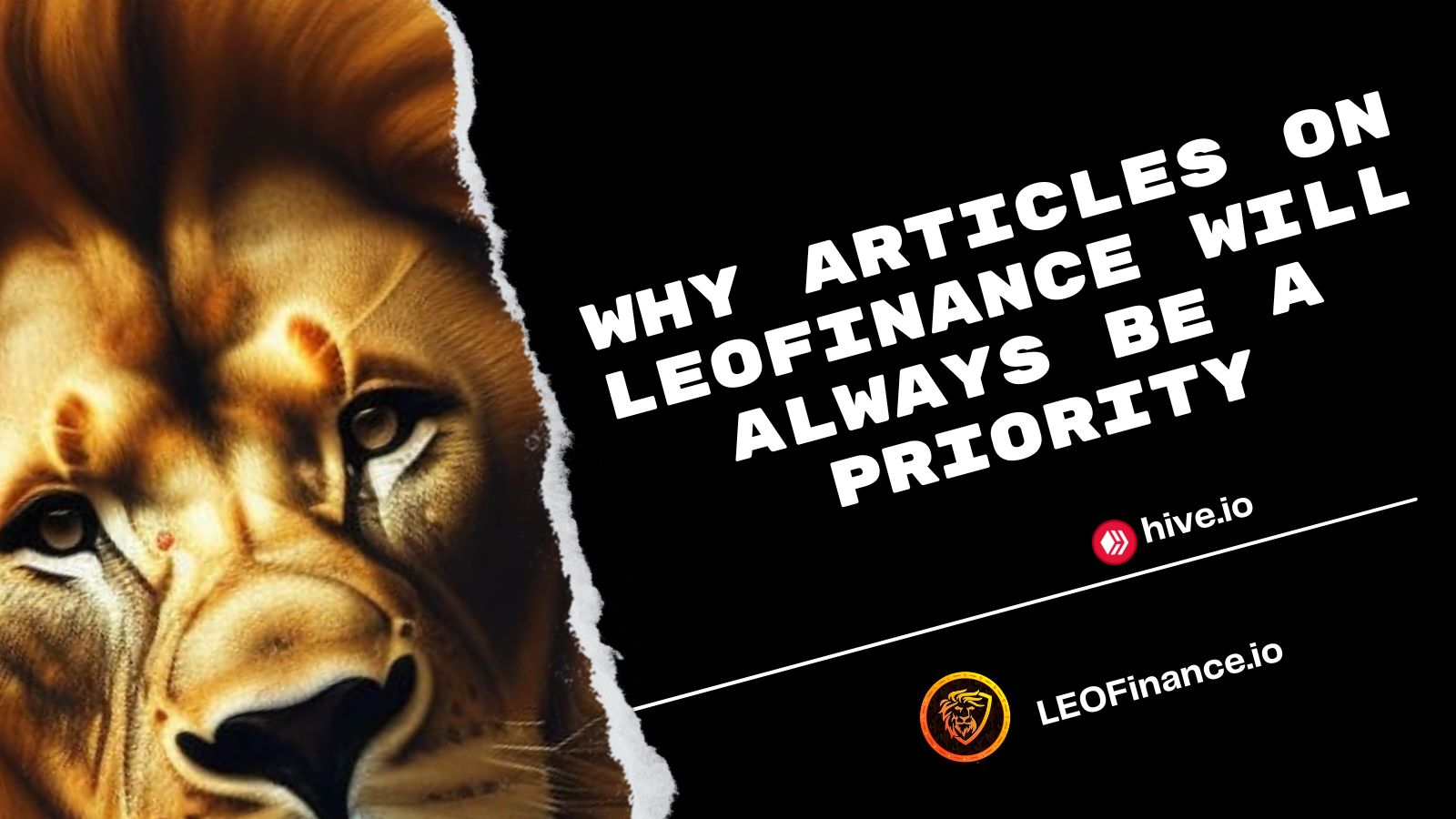 @bitcoinflood/why-articles-on-leofinance-will-always-be-a-priority