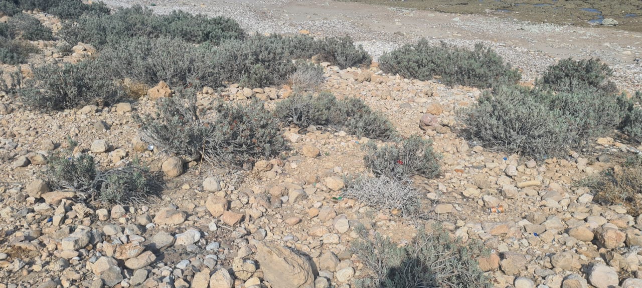 IMG-20221225-WA0120.jpg