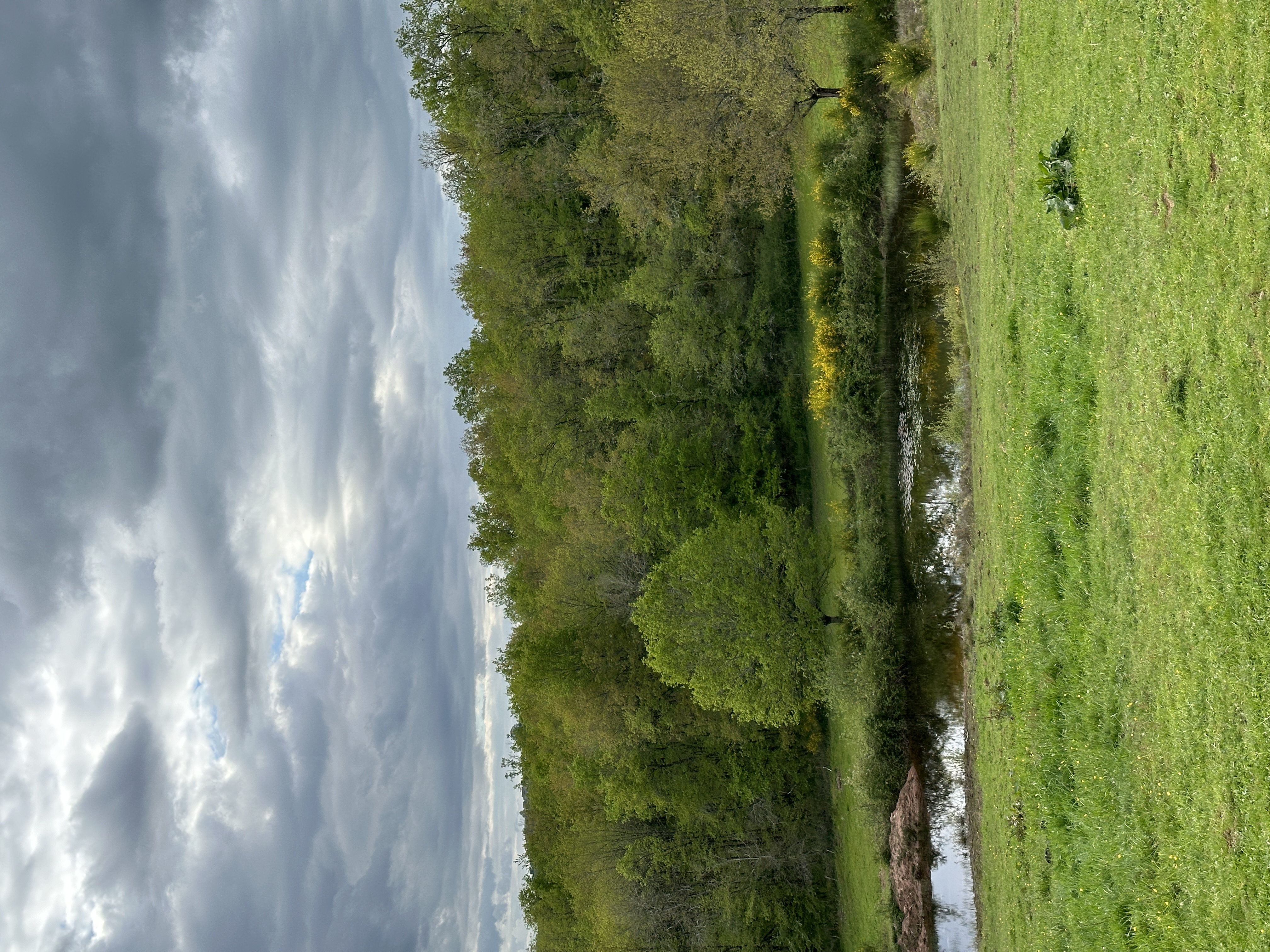 IMG_2303.jpeg