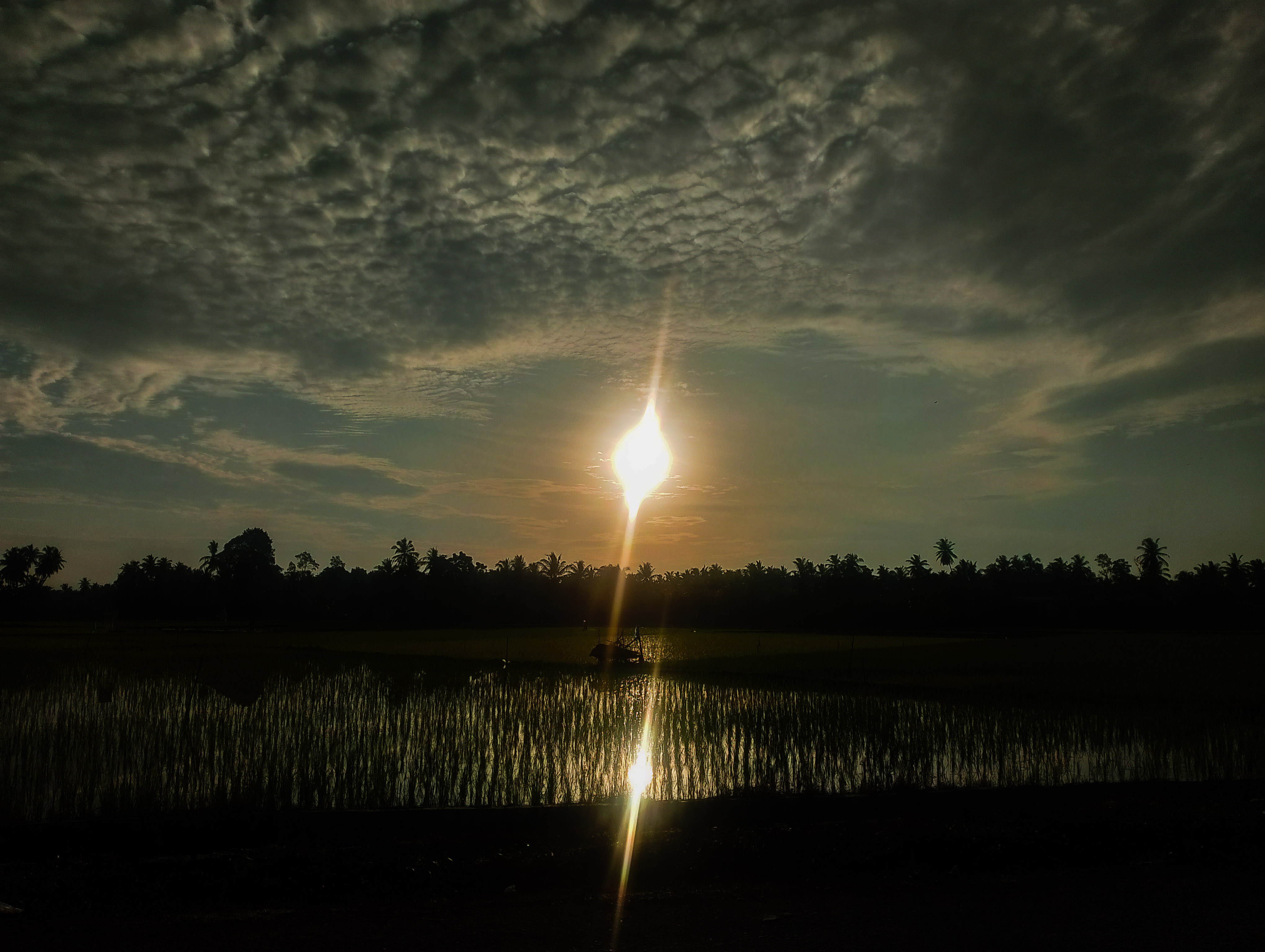 PSX_20250816_081447.jpg