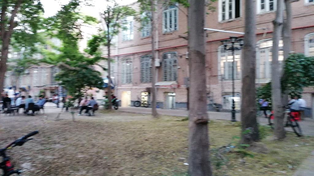 IMG_20250602_193230.jpg