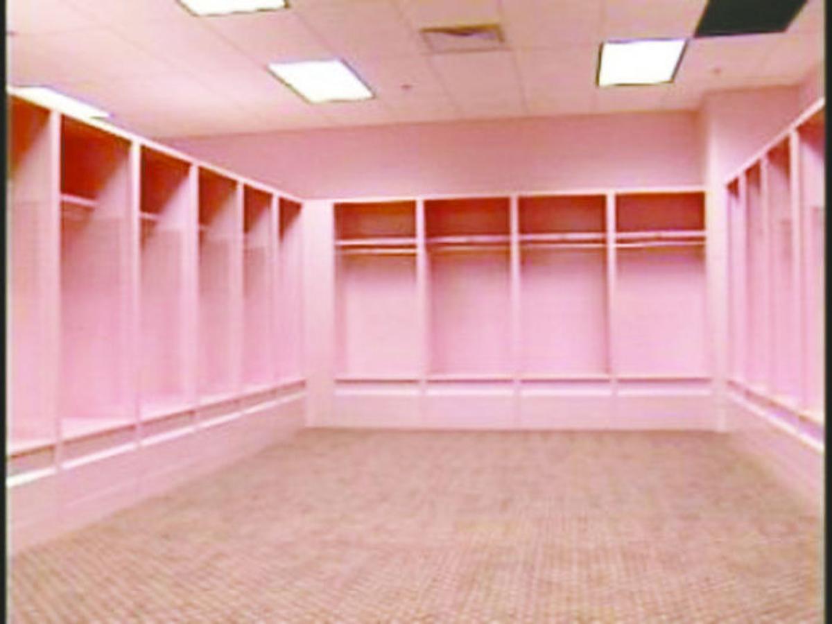 pinklockerroomcolor.jpg