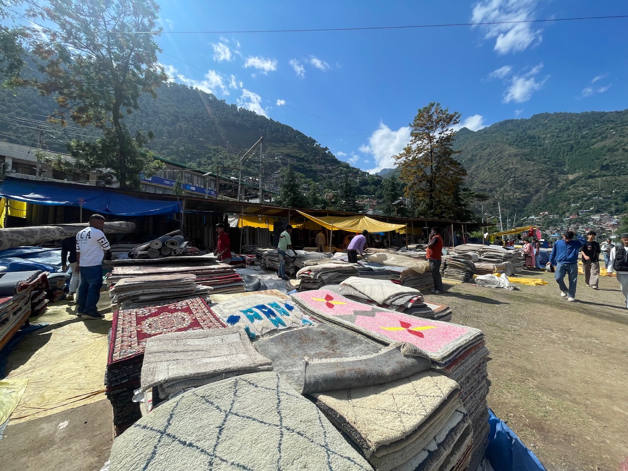 IMG_2534.jpeg