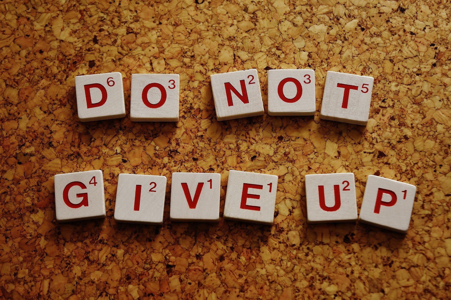 do-not-give-up-g8bb48c429_1920.jpg