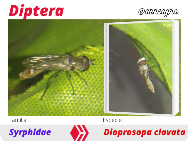@abneagro(9).png