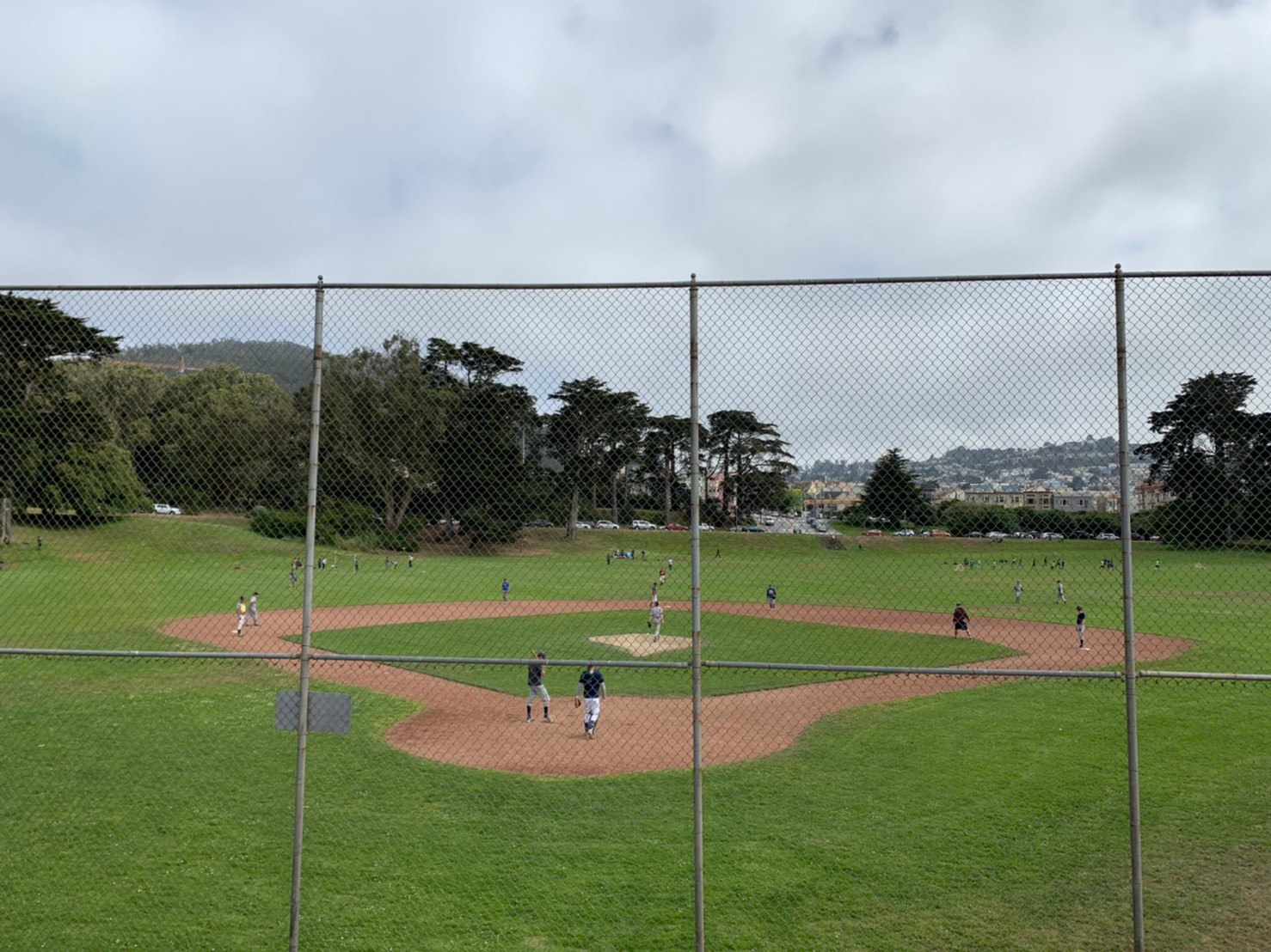Golden Gate Park101 (2).jpg