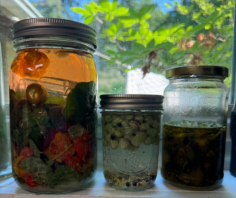 foodiesbeehive-nasturtium-ferment-7.jpg