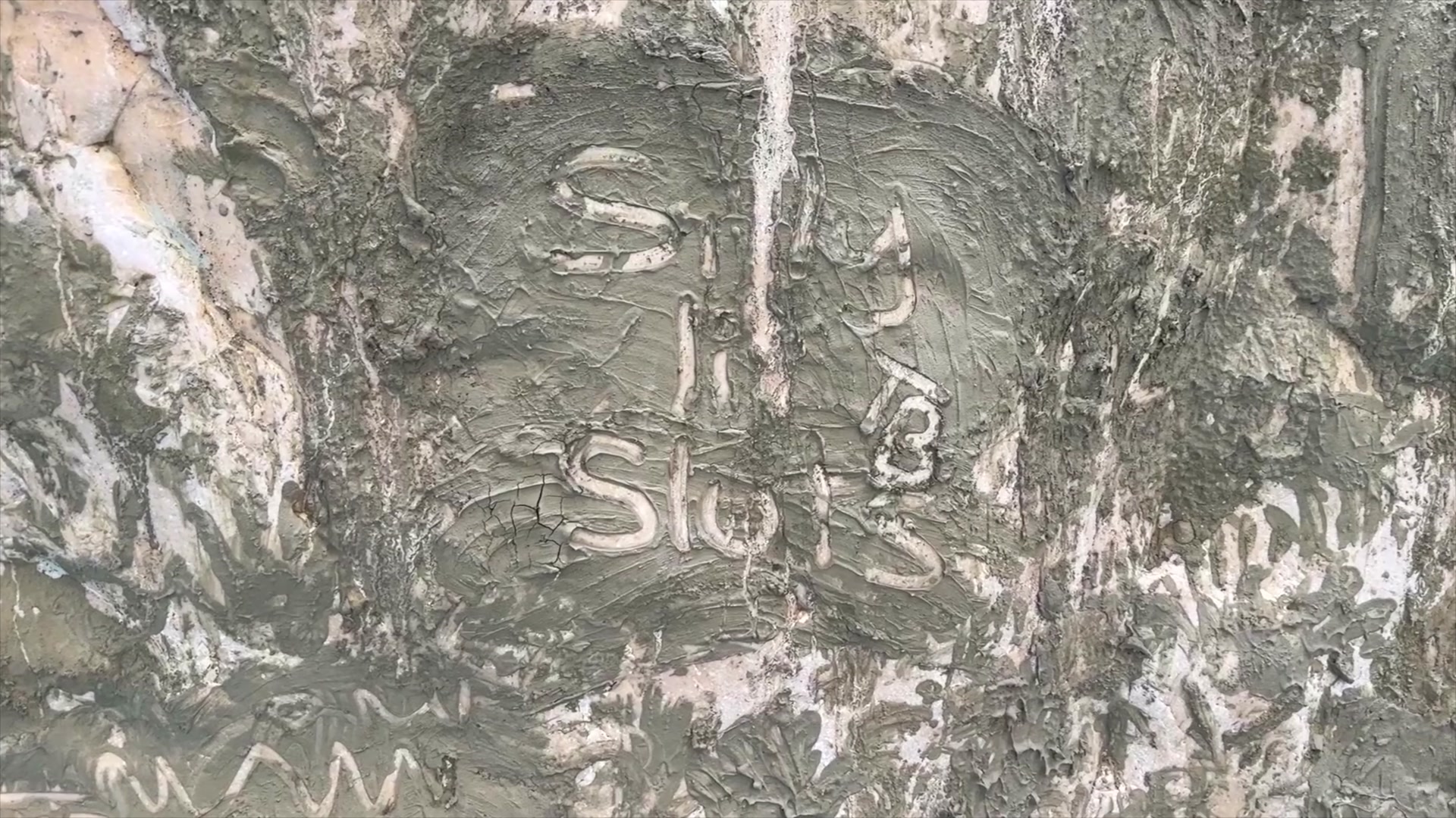 172.jpg