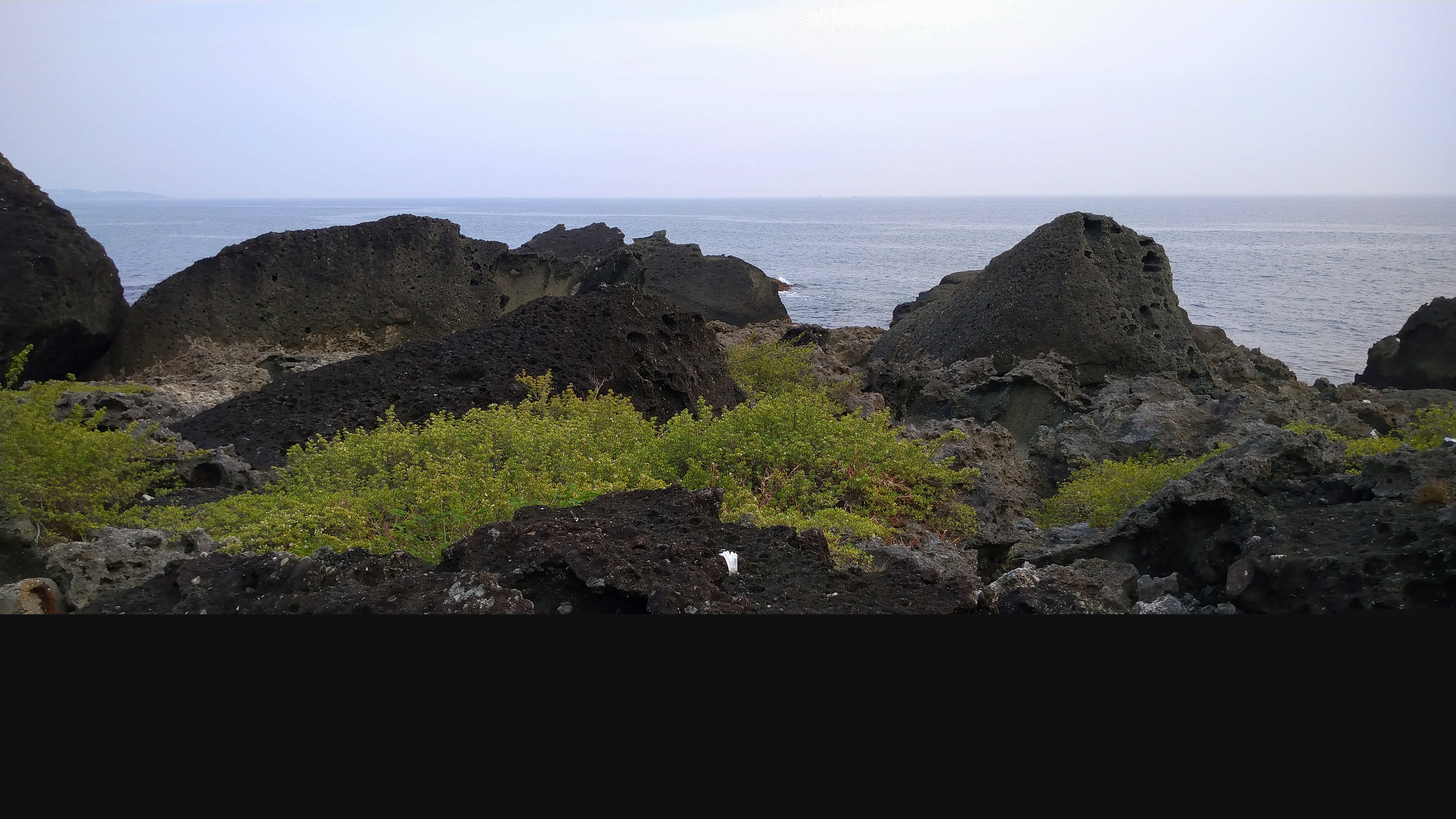 DSC_8013.JPG