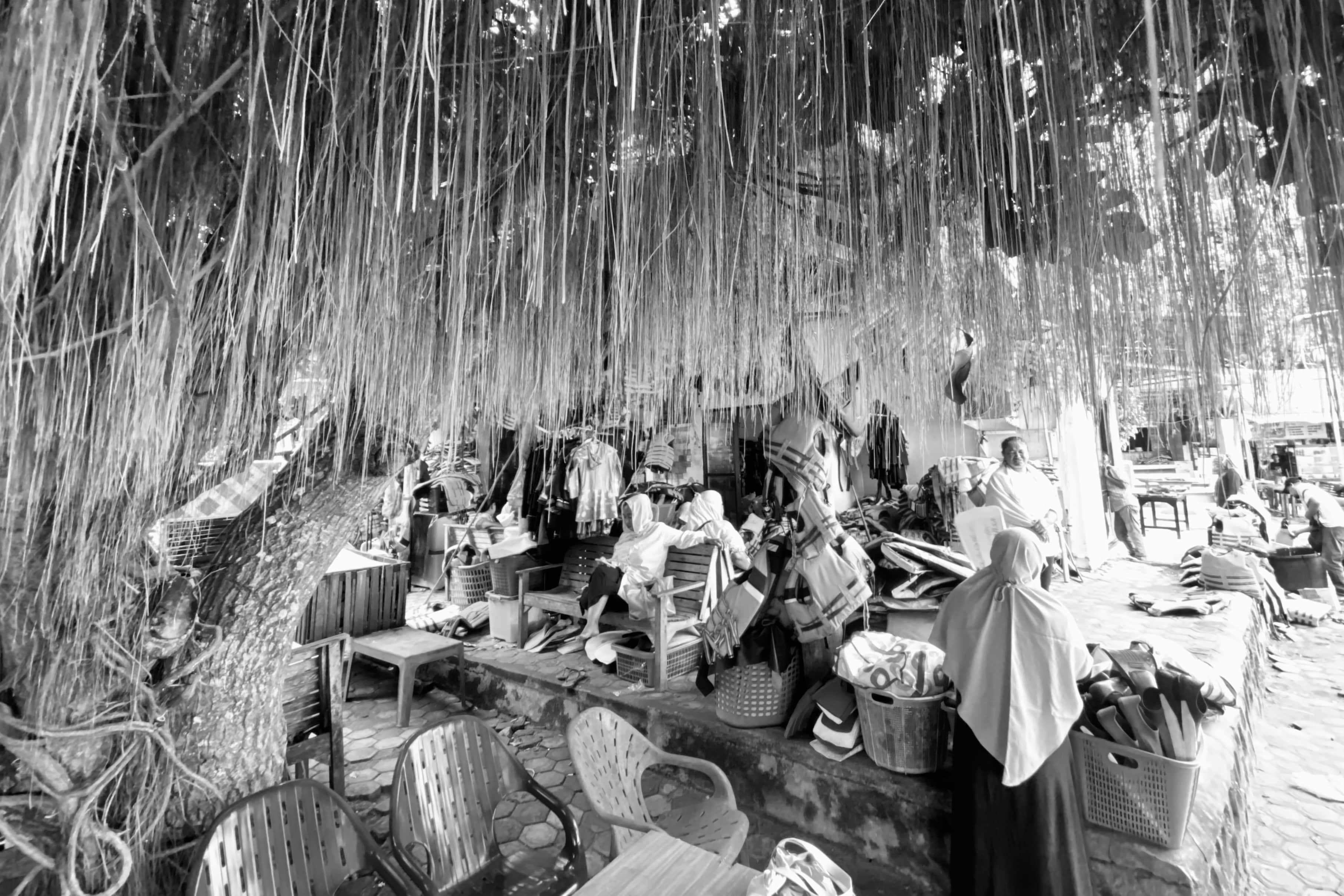 image00005-41-min.jpeg