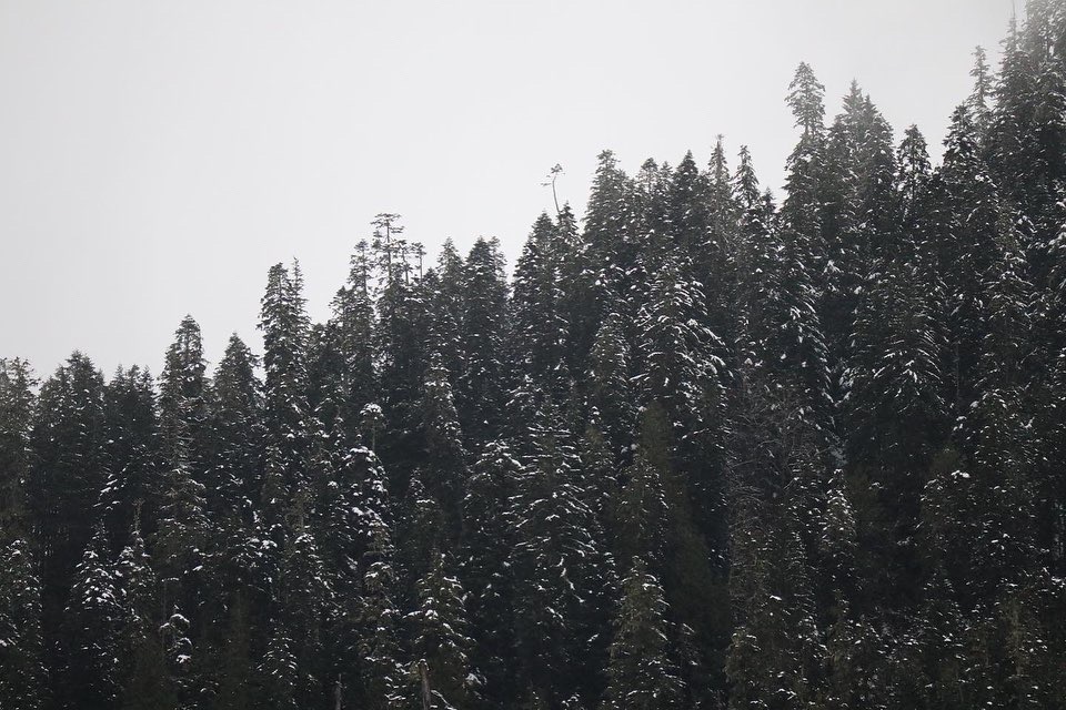 CE2787CB-F528-4D33-A8DF-DDEB3BDB0256.jpeg