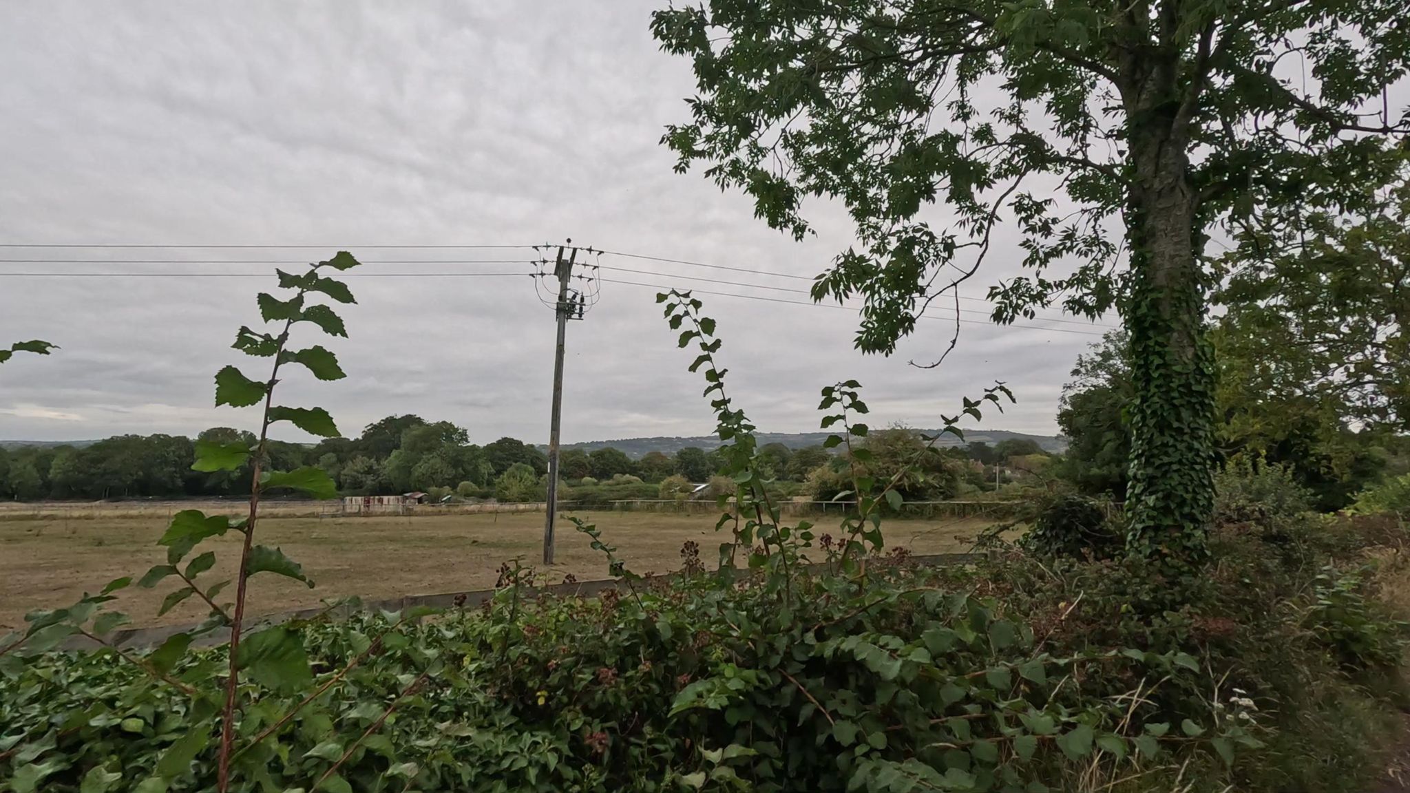 footer_image_15374332184.png