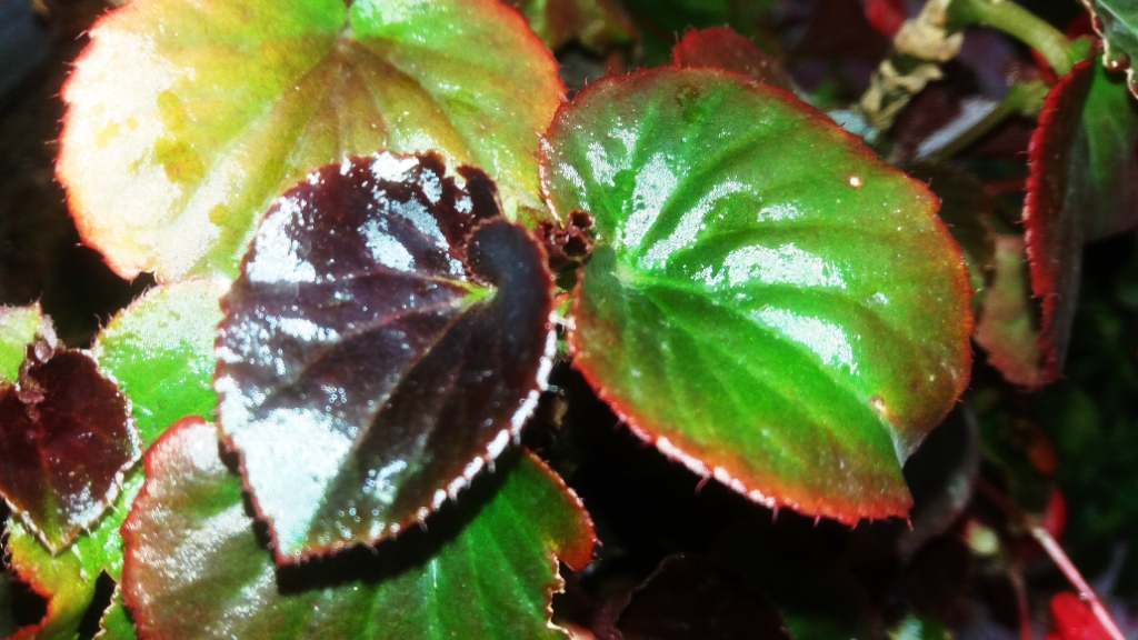CYMERA_20201113_123456.jpg