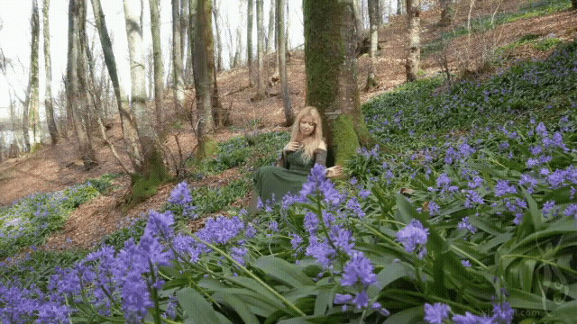 A tapestry of Spring by Priscilla Hernandez (7).gif