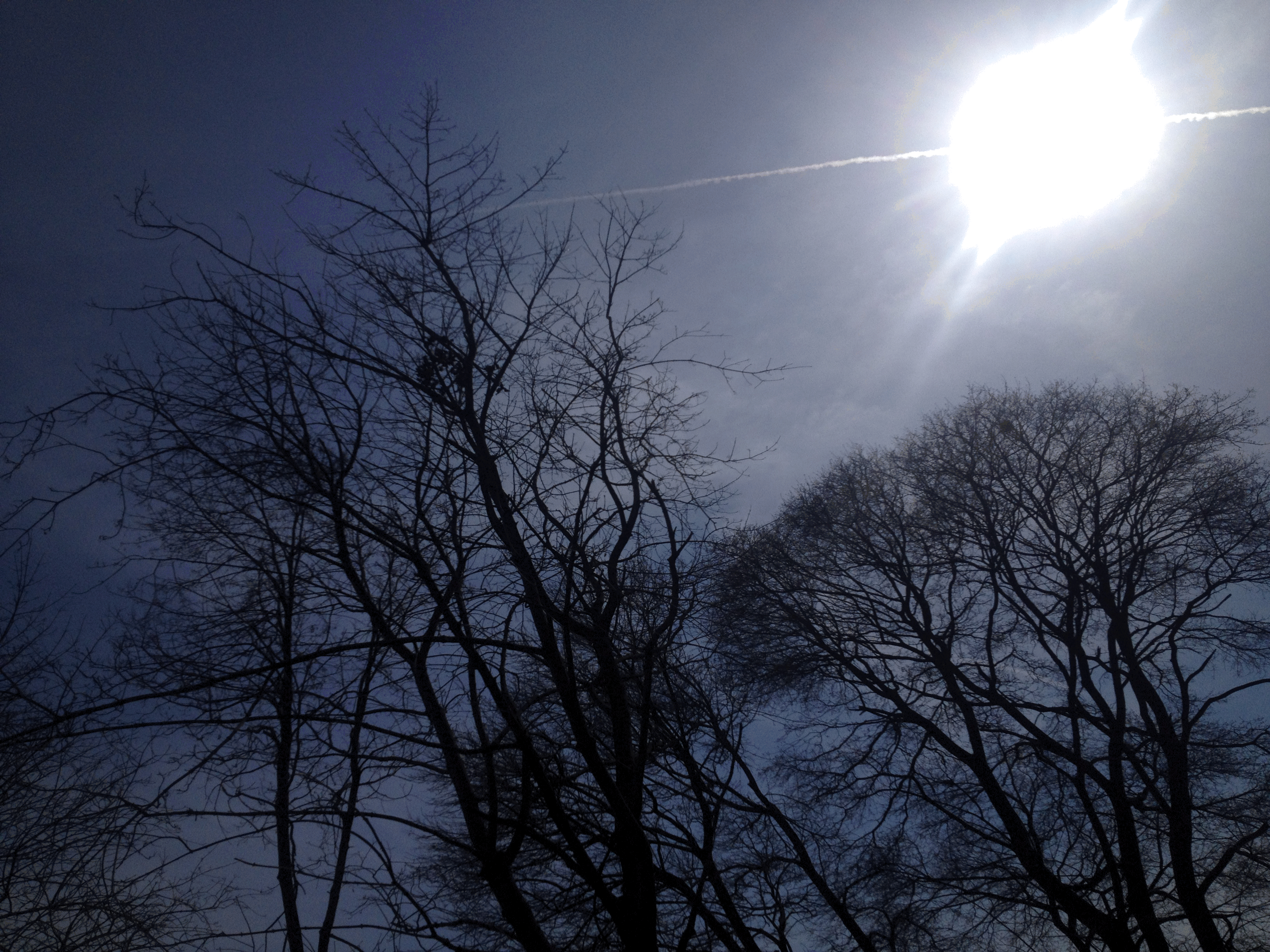 IMG_8071.gif