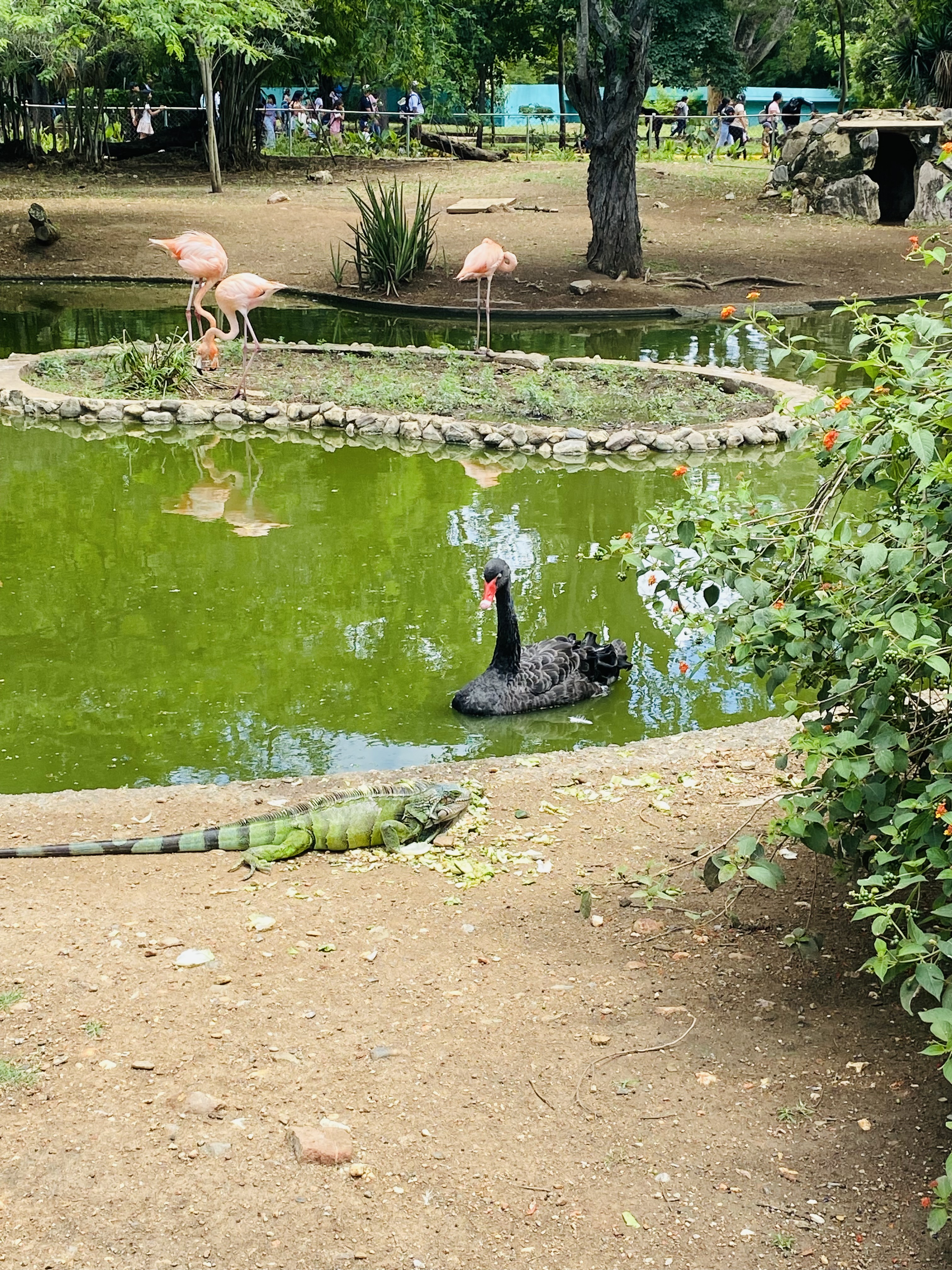 IMG_8902.jpeg