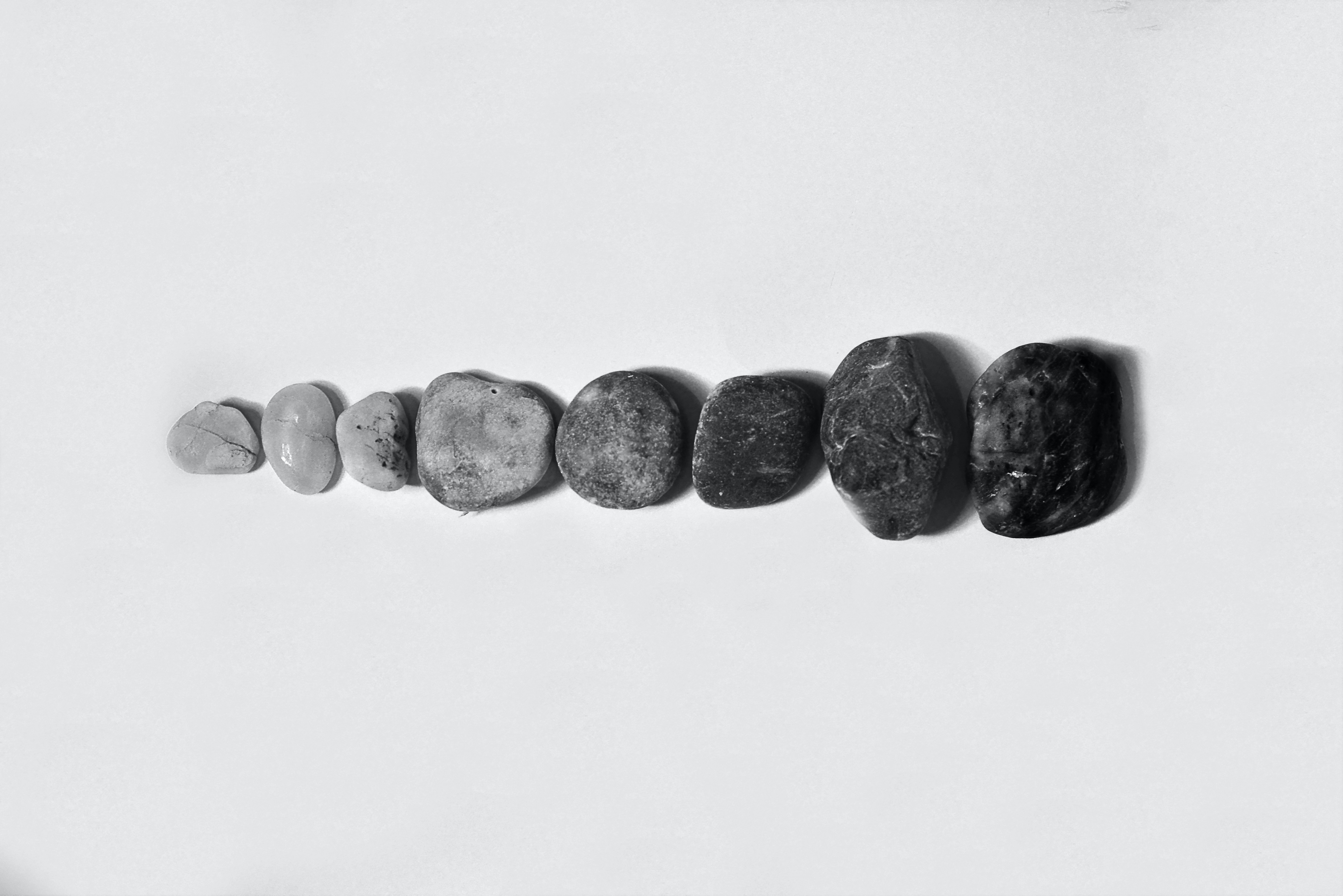 pexelsmasonslover940271.jpg