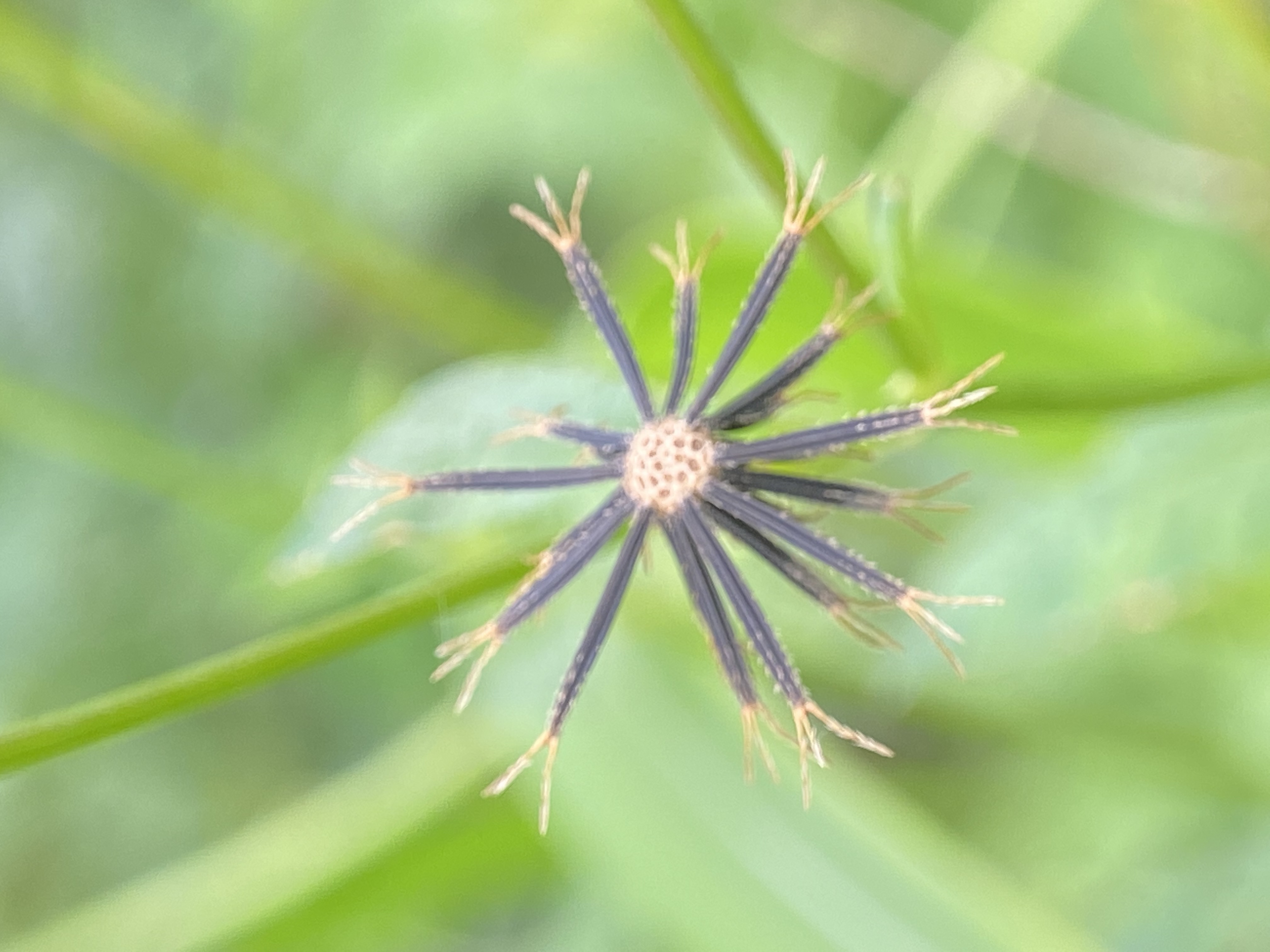 4B724928-D459-4E3C-B22D-18B619DE8E97.jpeg