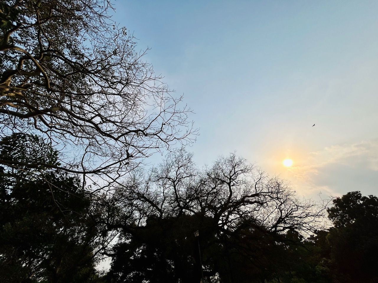 IMG_8666.jpeg
